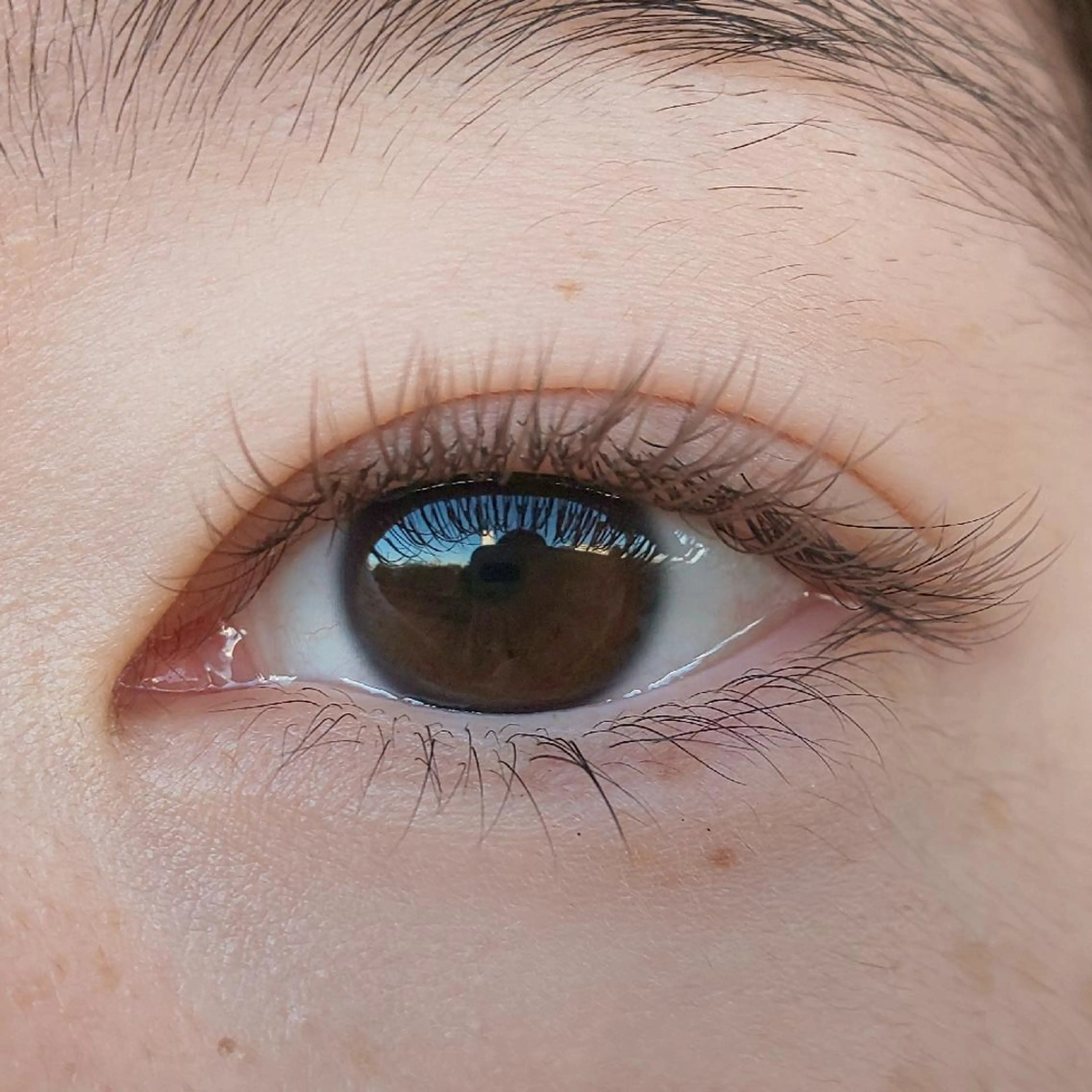 マツエク・マツパ フラットラッシュ eyelash.所属・eyelash .のマツエク・マツパデザイン