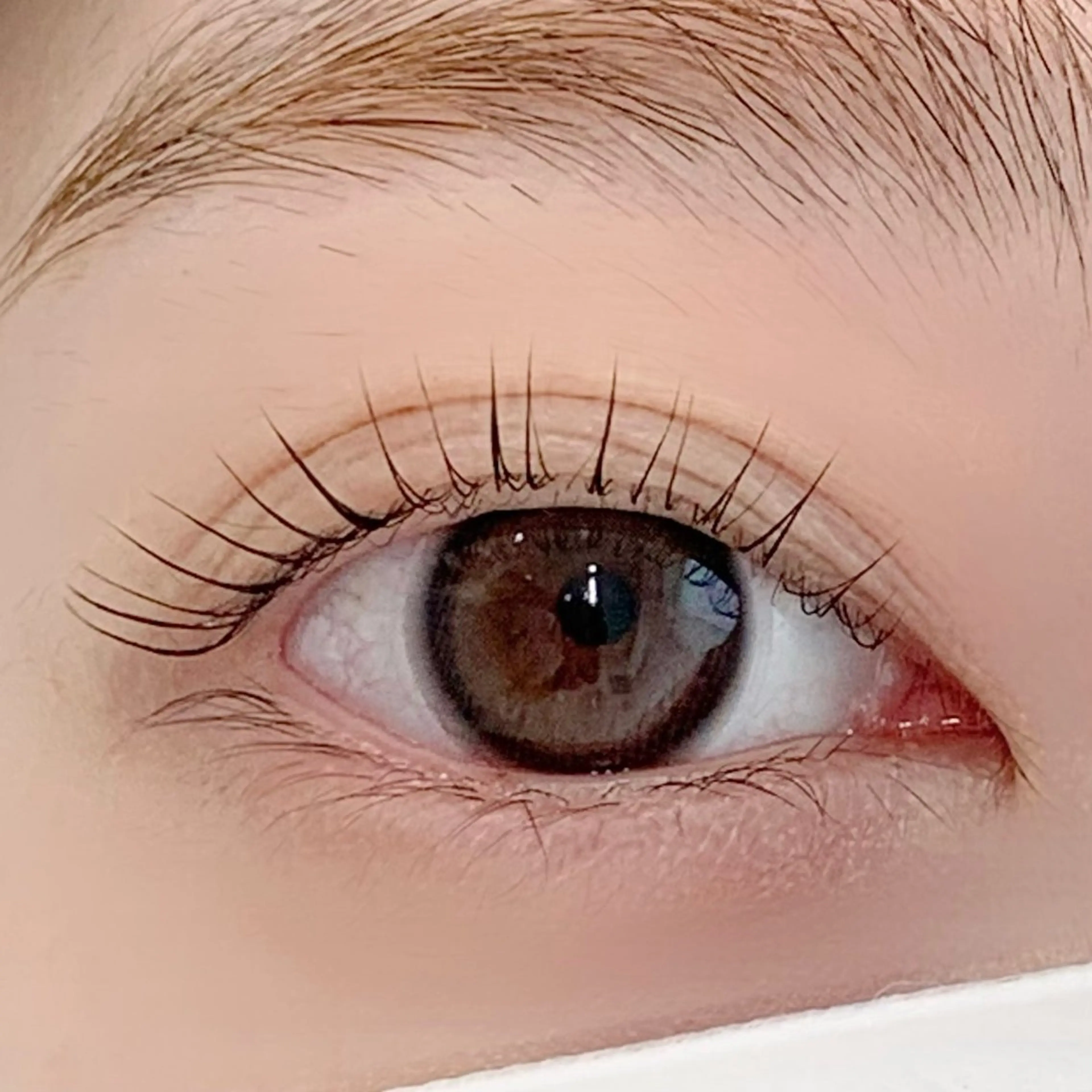 マツエク・マツパ パリジェンヌラッシュリフト まつげパーマ マツパ BellFlower Aki（眉・まつげ）のマツエク・マツパデザイン