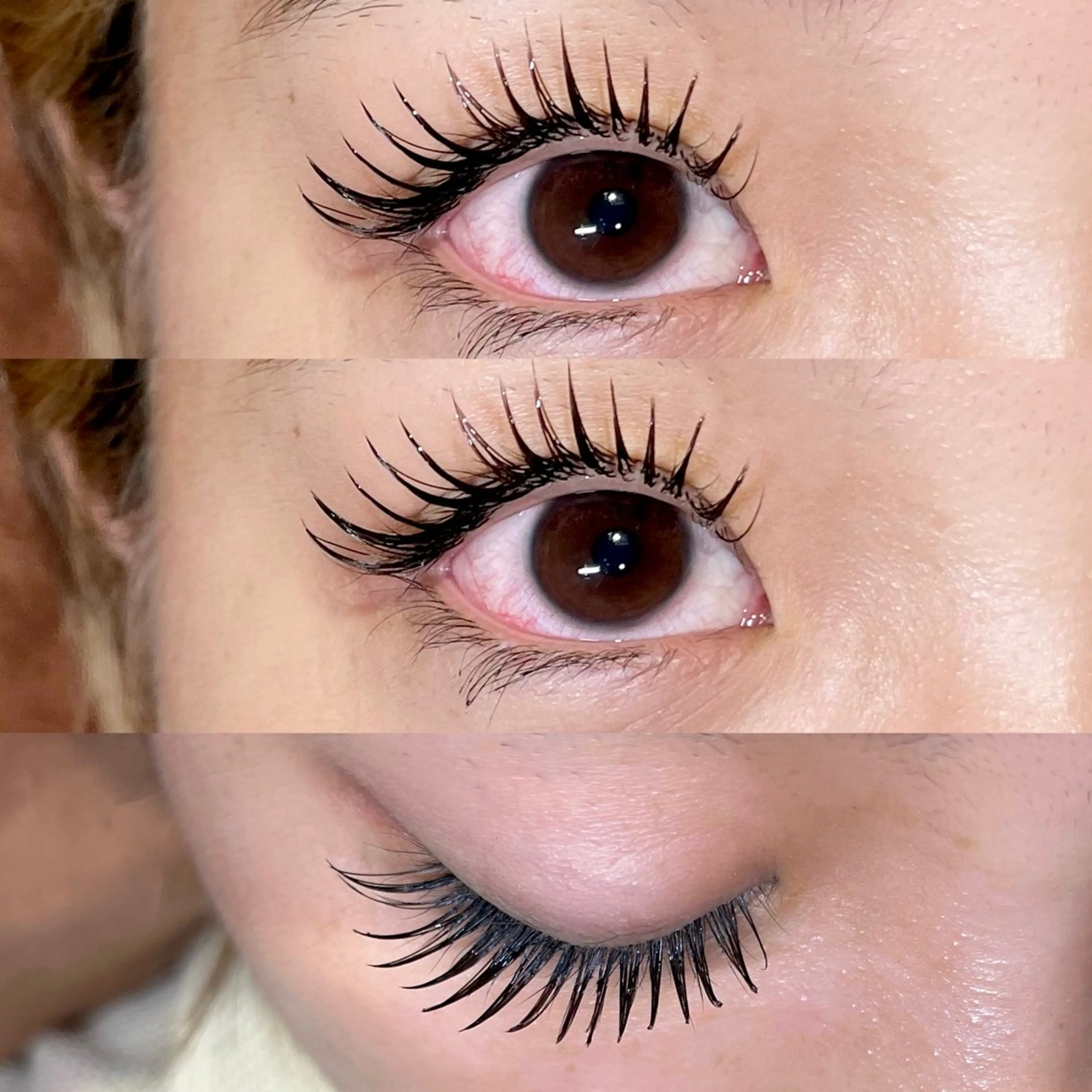 マツエク・マツパ カラーマツエク セクシー マツエク ガレリアエレガンテ /栄🎀ななか🎀のマツエク・マツパデザイン