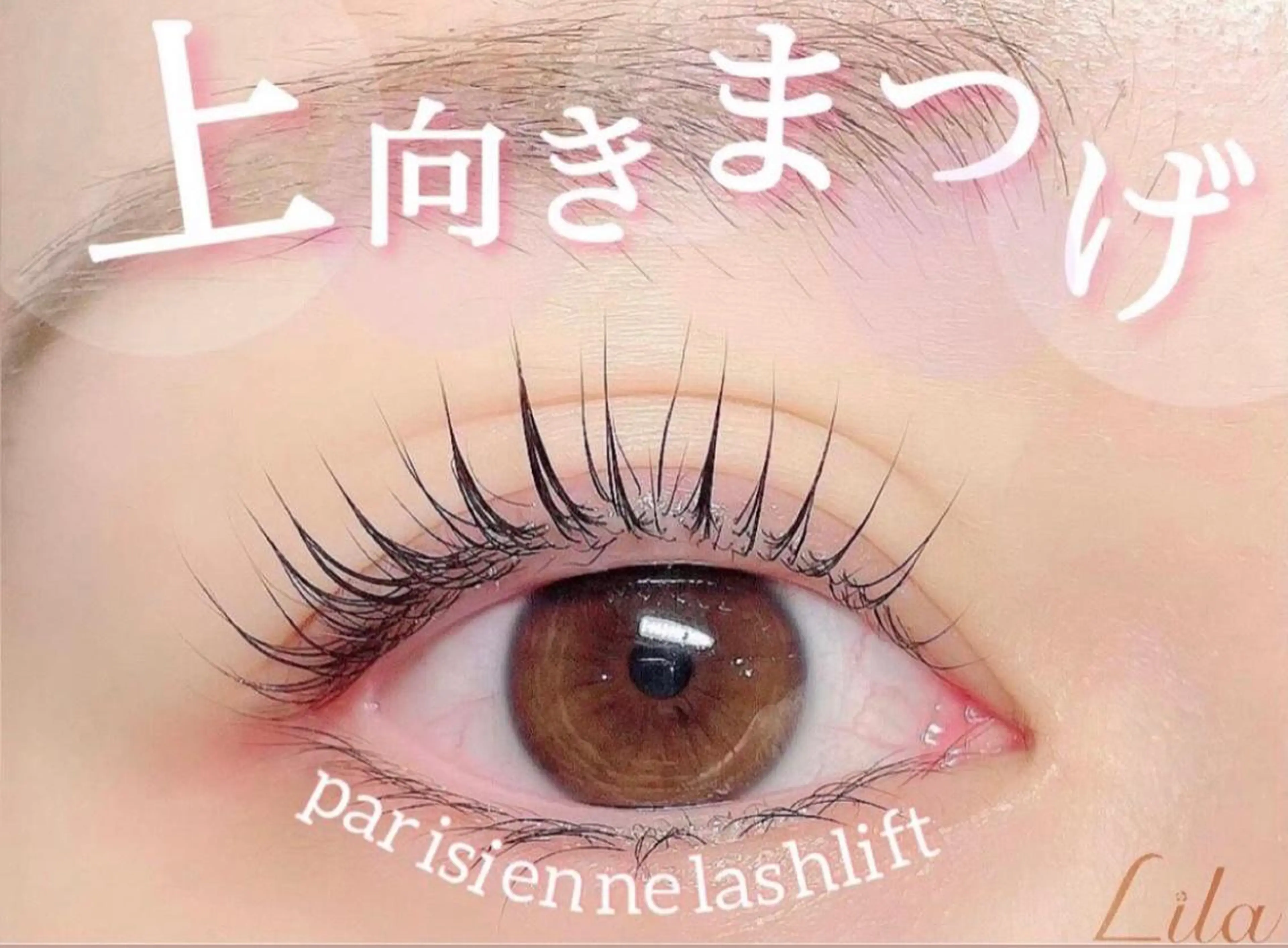 マツエク・マツパ ance eyelash　アンセ アイラッシュ　姫路店所属・リラ 姫路のマツエク・マツパデザイン