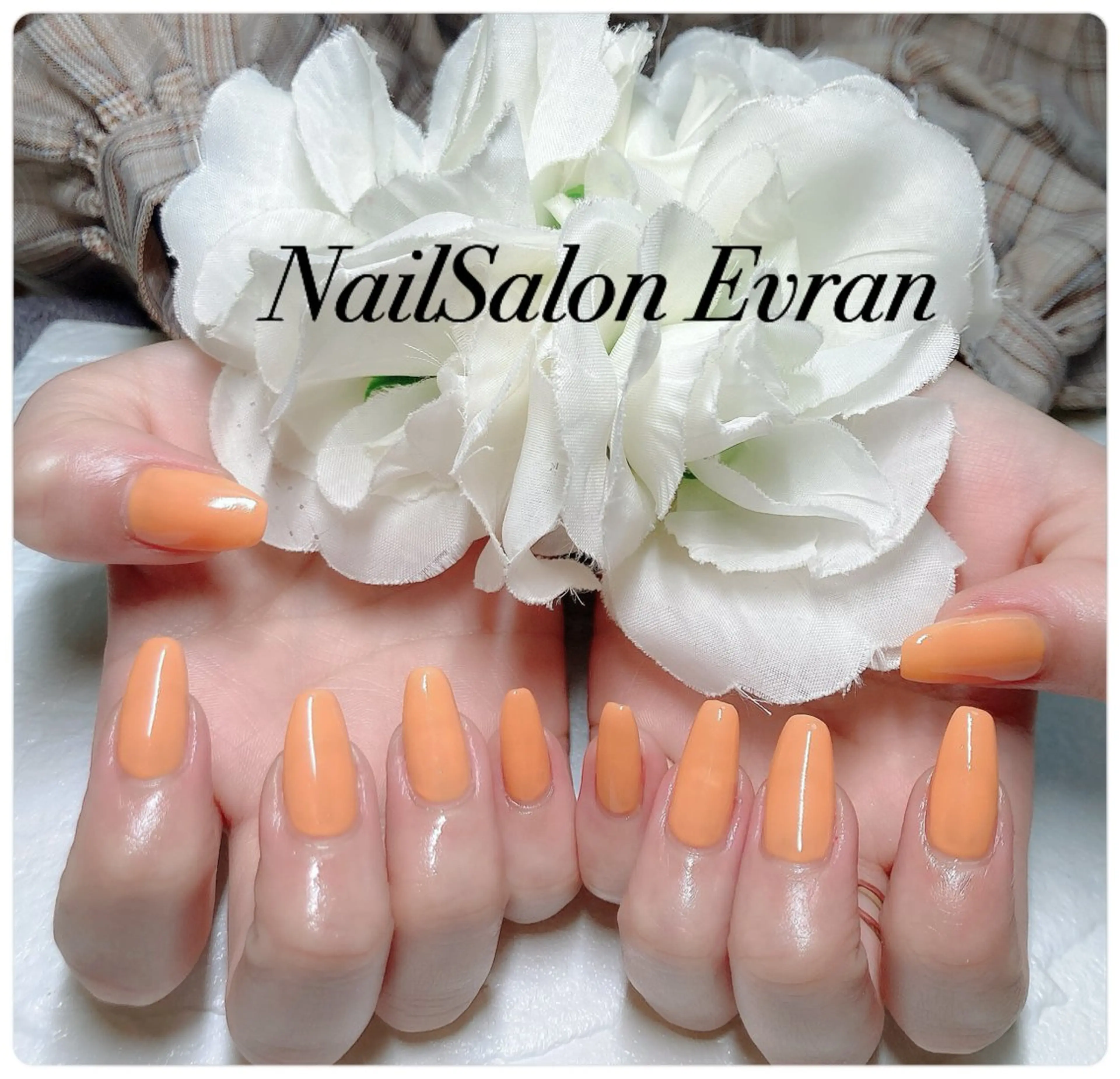 ネイル アートネイル ジェルネイル ワンカラーネイル シンプルネイル ハンドネイル Nail salon Evranのネイルデザイン