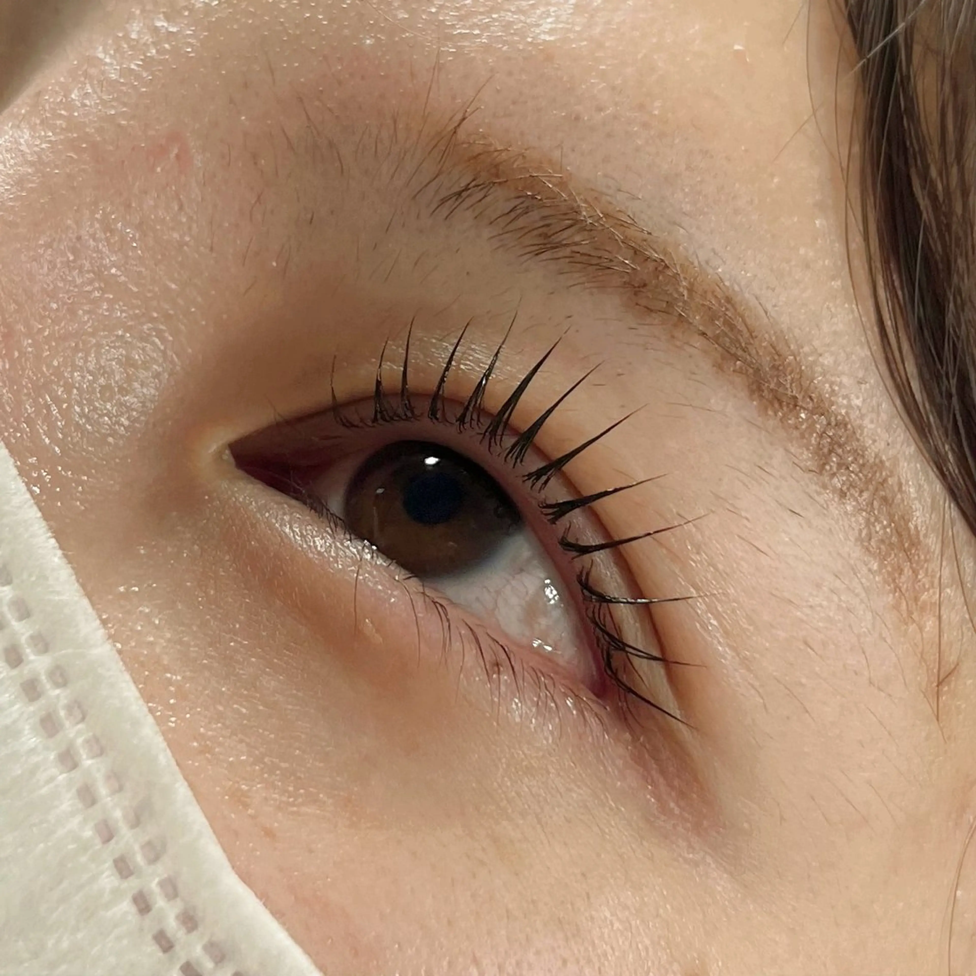 【まつ毛パーマ☆ダウン×ラッシュ】 🕊️メーテルラッシュ🕊️の写真