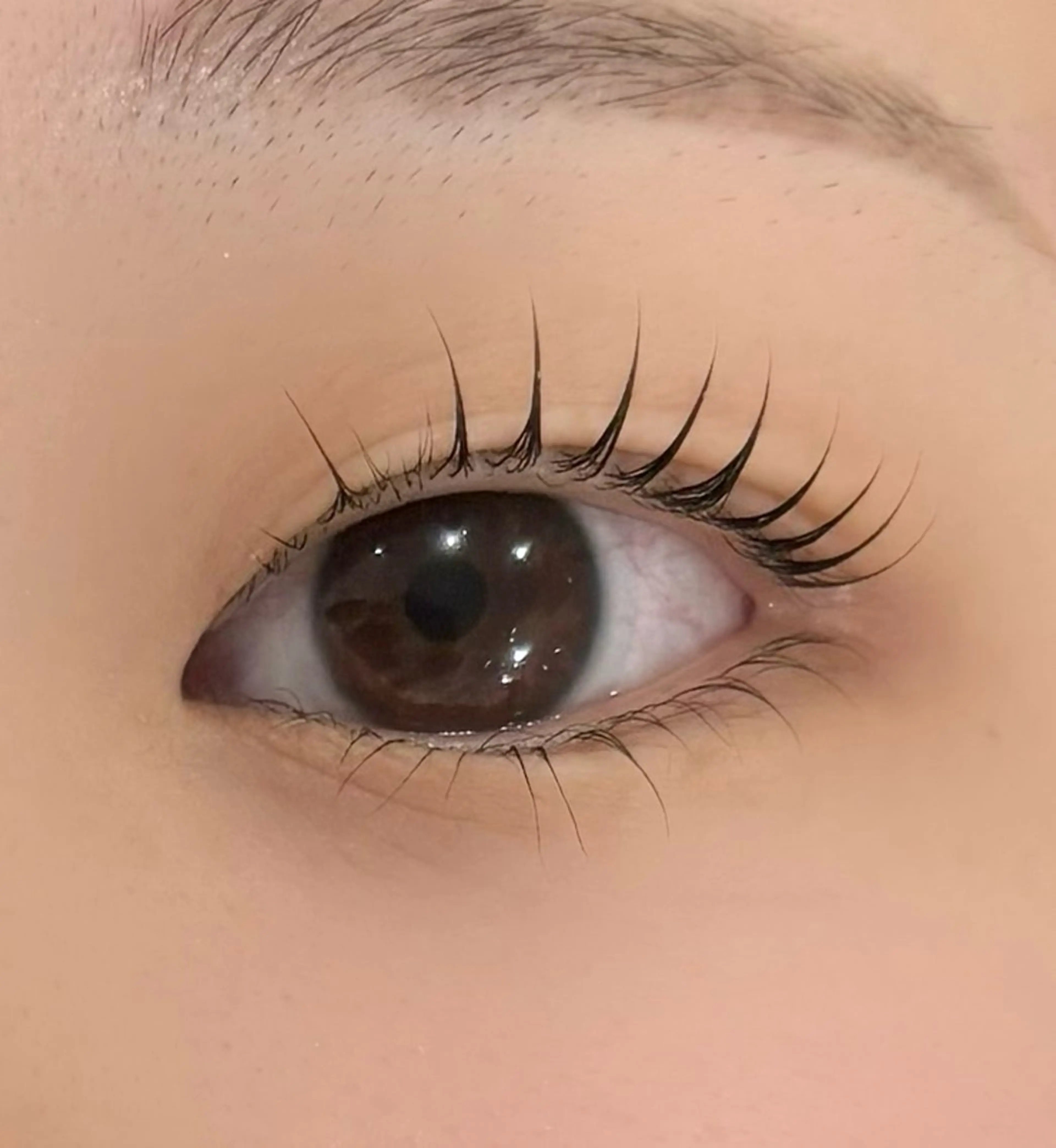 マツエク・マツパ Belle所属・Belle 京橋店 吉本のマツエク・マツパデザイン