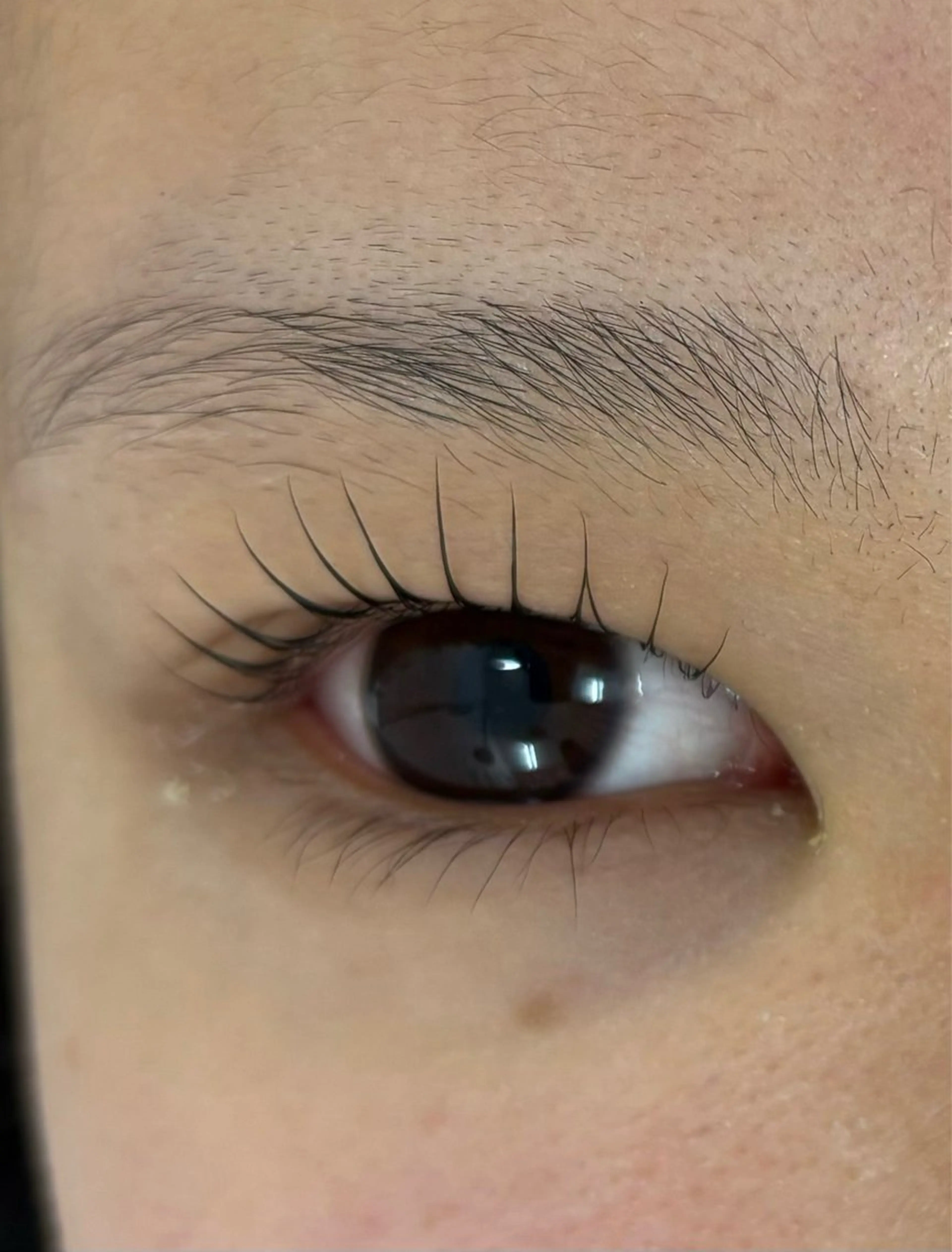 🤎マツパ、パリジェンヌ🤎の写真