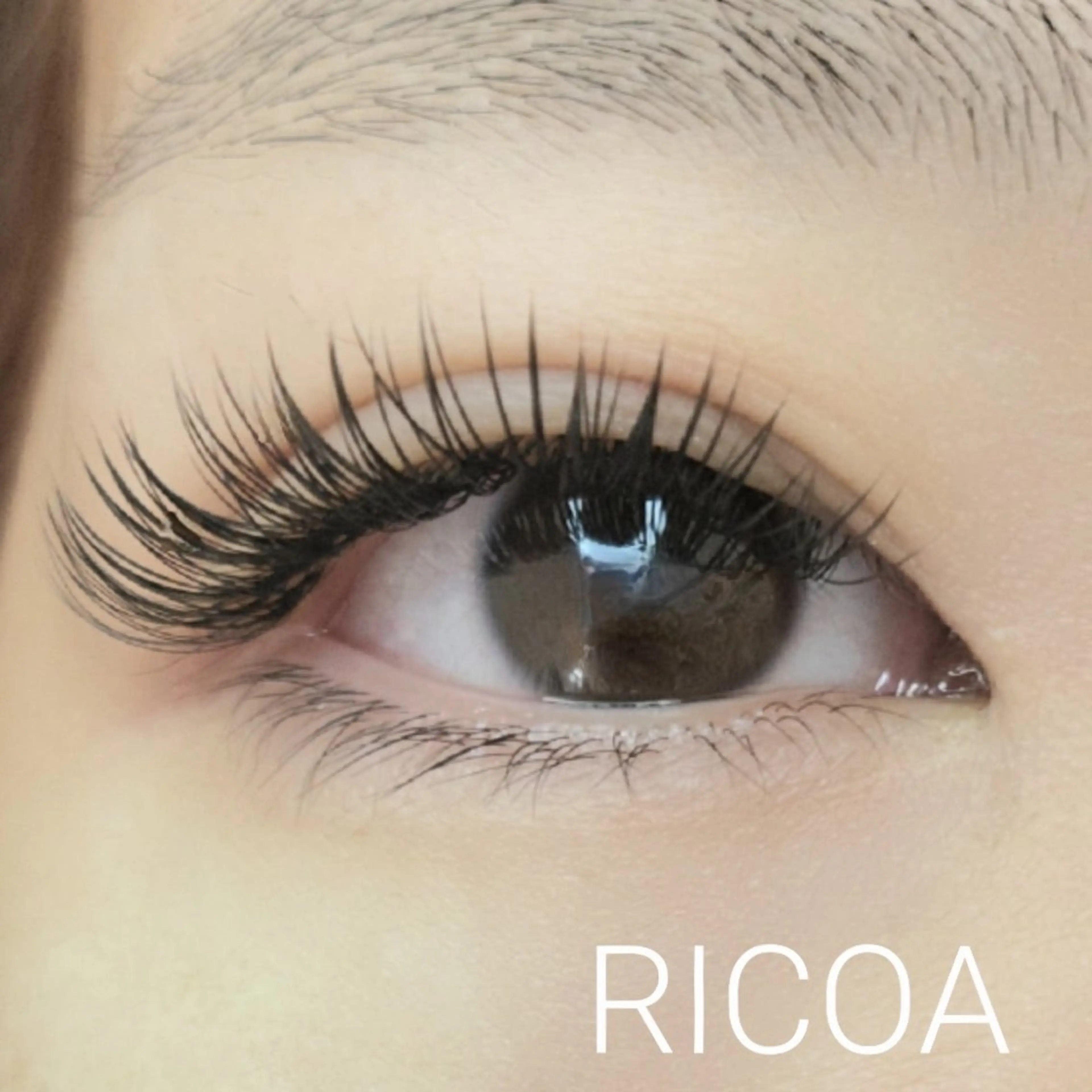 マツエク・マツパ フラットラッシュ マツエク RICOA 酒井のマツエク・マツパデザイン