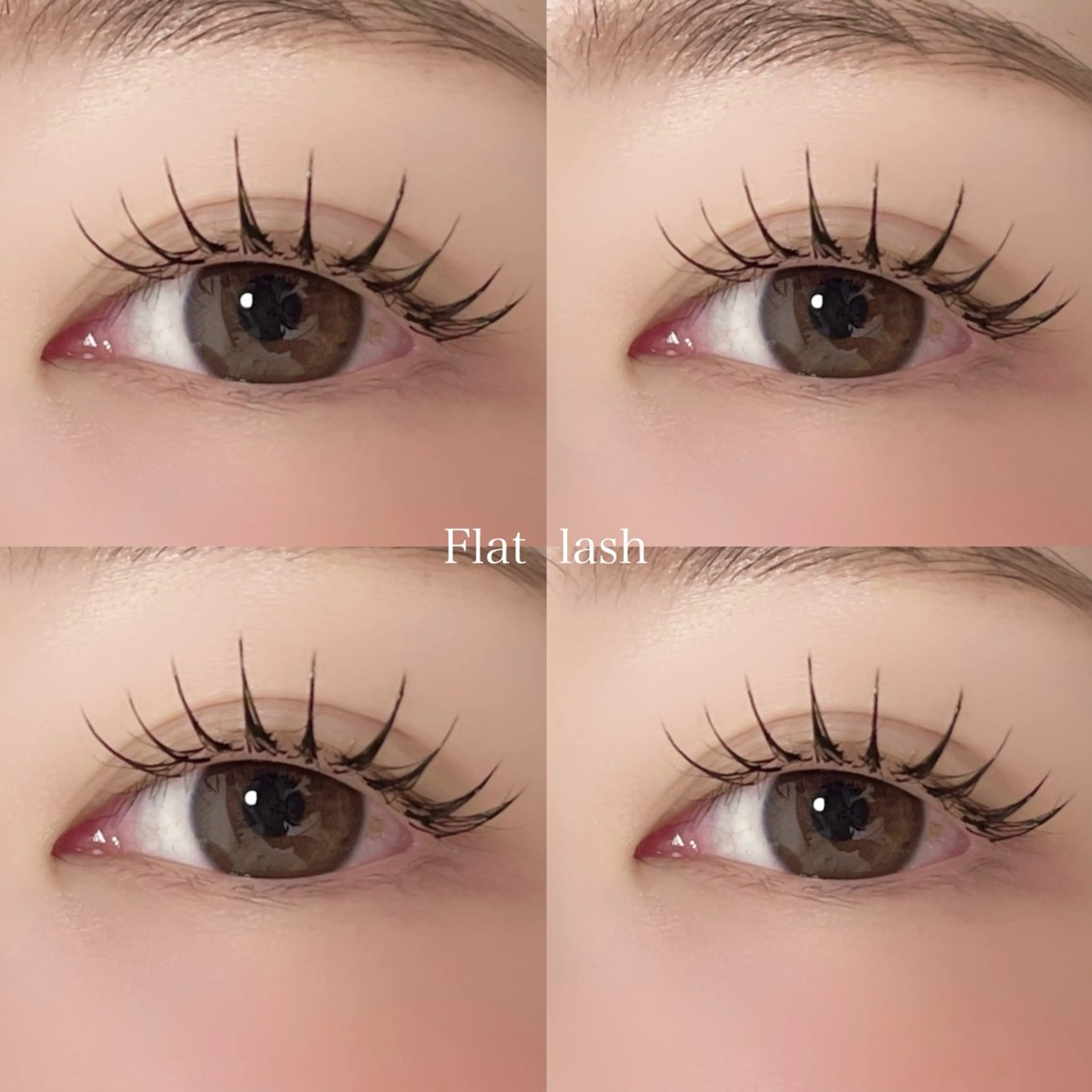 【当日予約限定】フラットラッシュ〜120束まで🎀eye shampoo付🫧(オフあり/オフなし)の写真