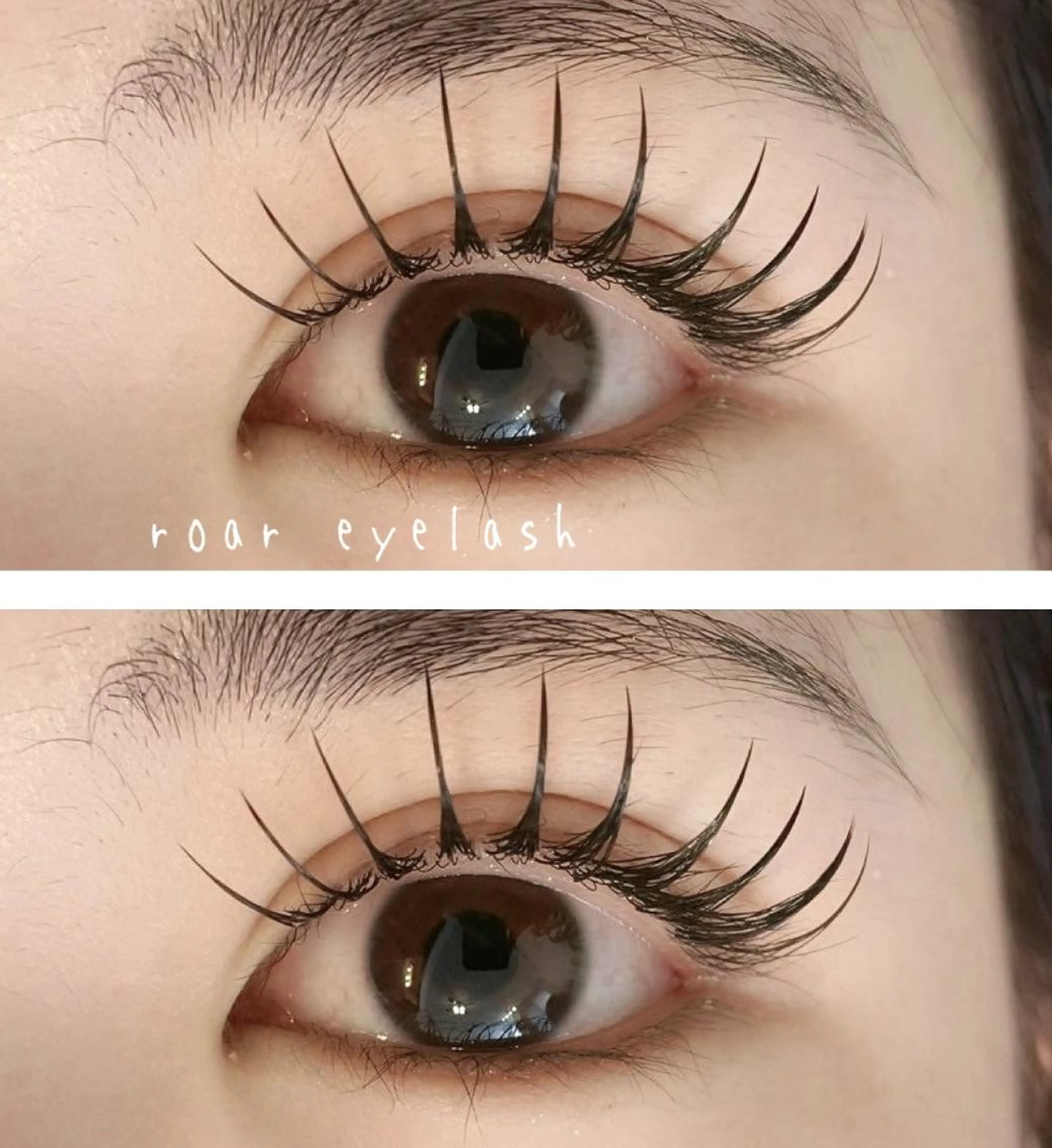 マツエク・マツパ ROAR🌹 eyelashのマツエク・マツパデザイン