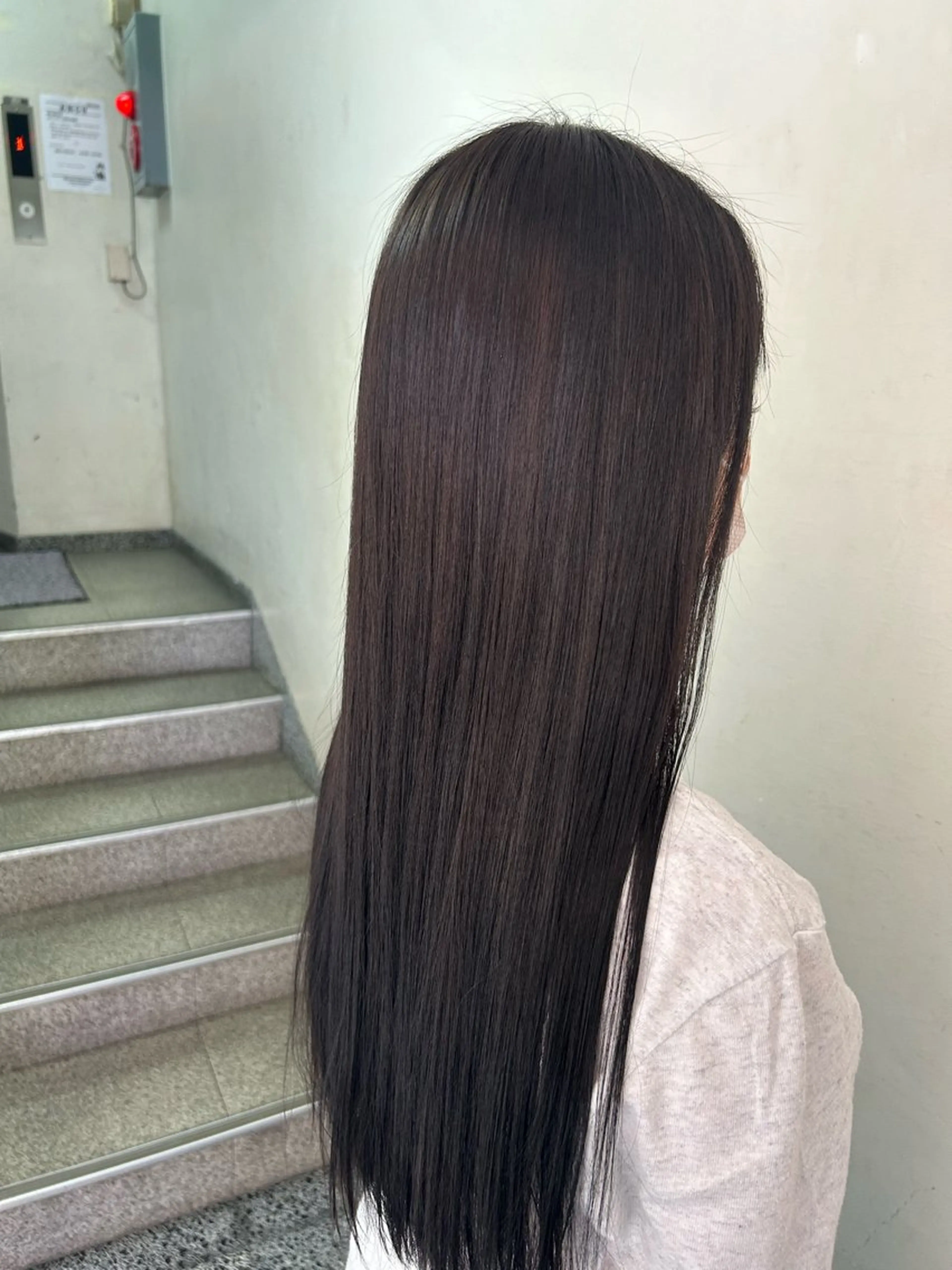 ロング カラー ブラウンカラー ヘアカラー 志賀 菜妃のヘアスタイル