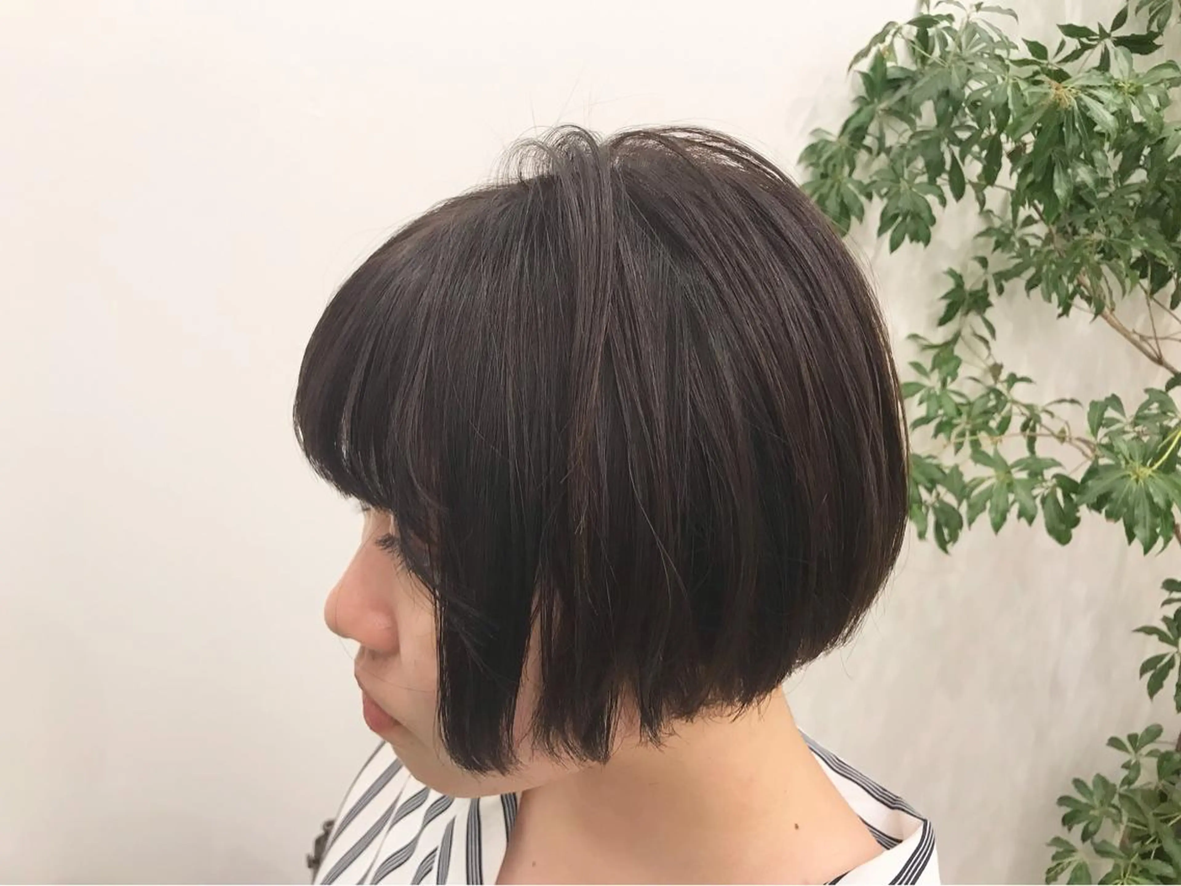 学生カット👩‍🎓👨‍🎓の写真