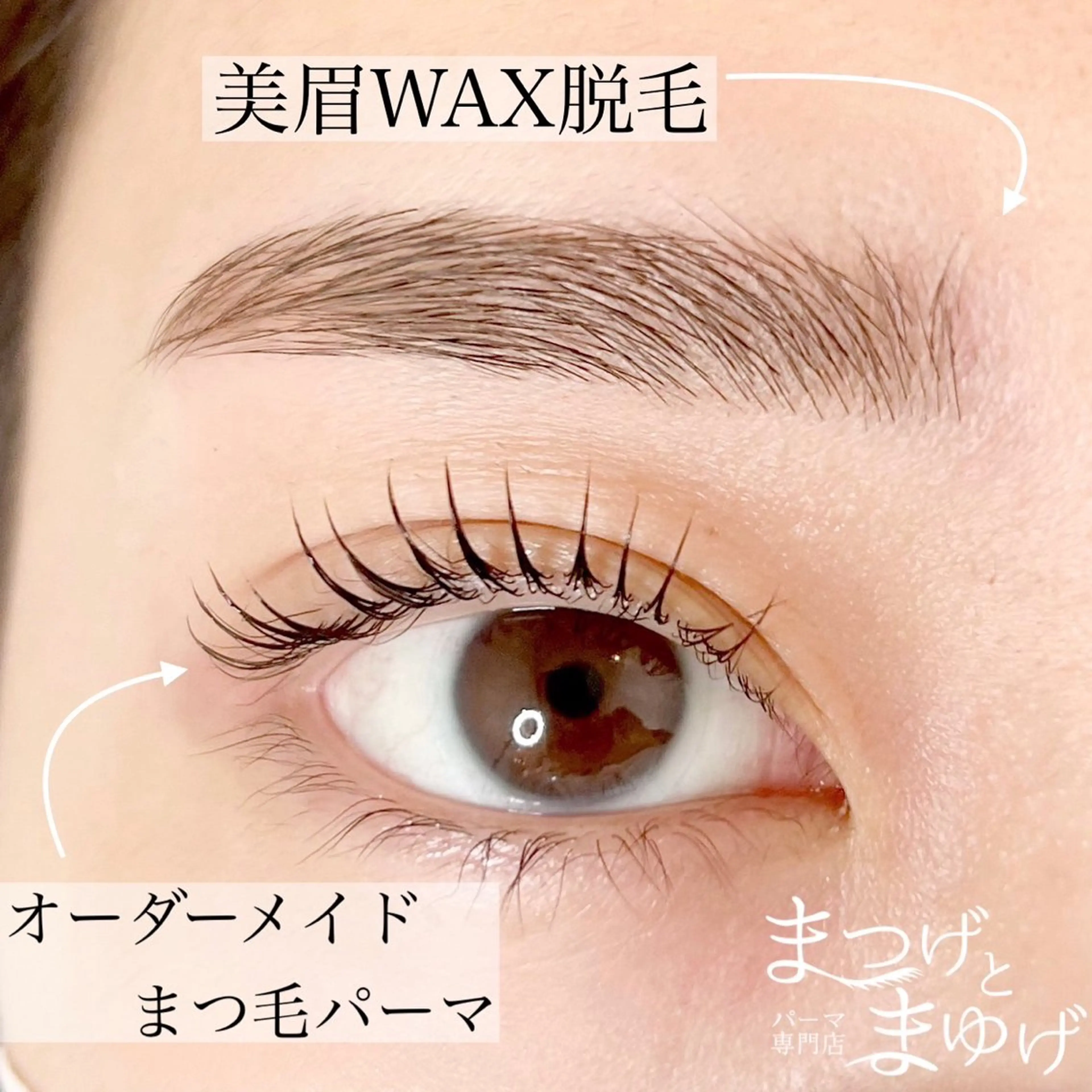 【まつ毛パーマ✖️美眉Wax✖️眉color】の写真