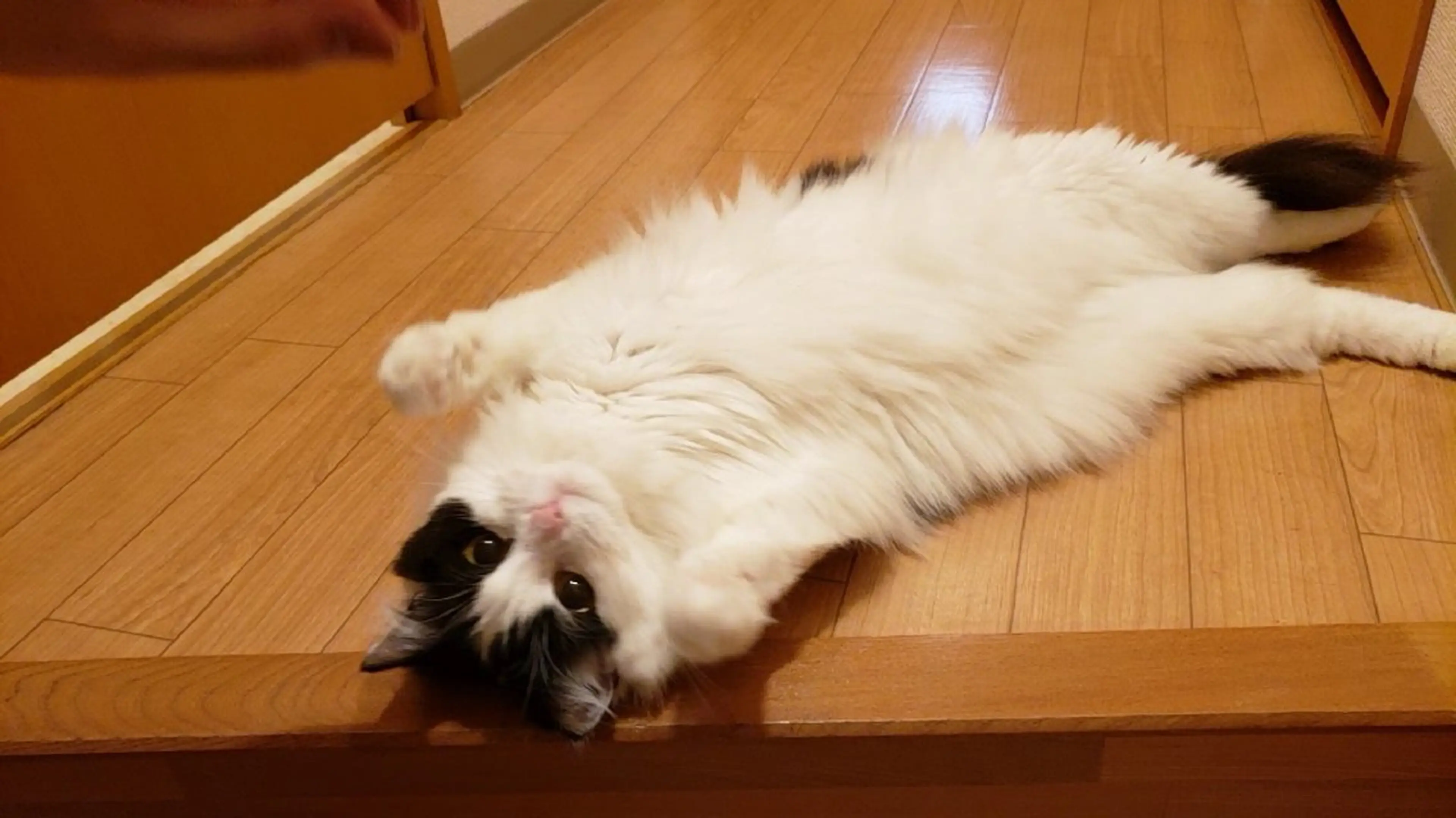 町田 築のヘアスタイル