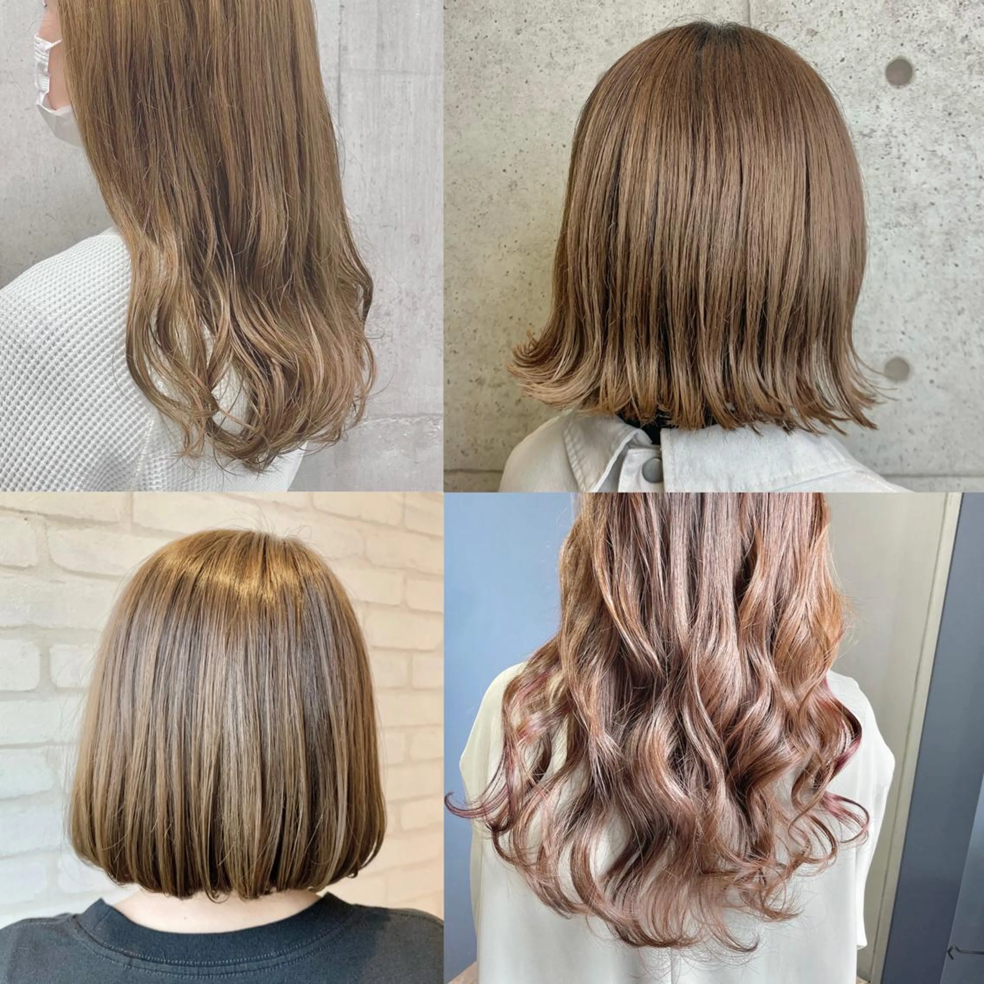 【🦋ベーシックコース🫶🏼】メンテナンスカット➕カラー➕3ステップトリートメント💘(白髪染めも可◎)の写真