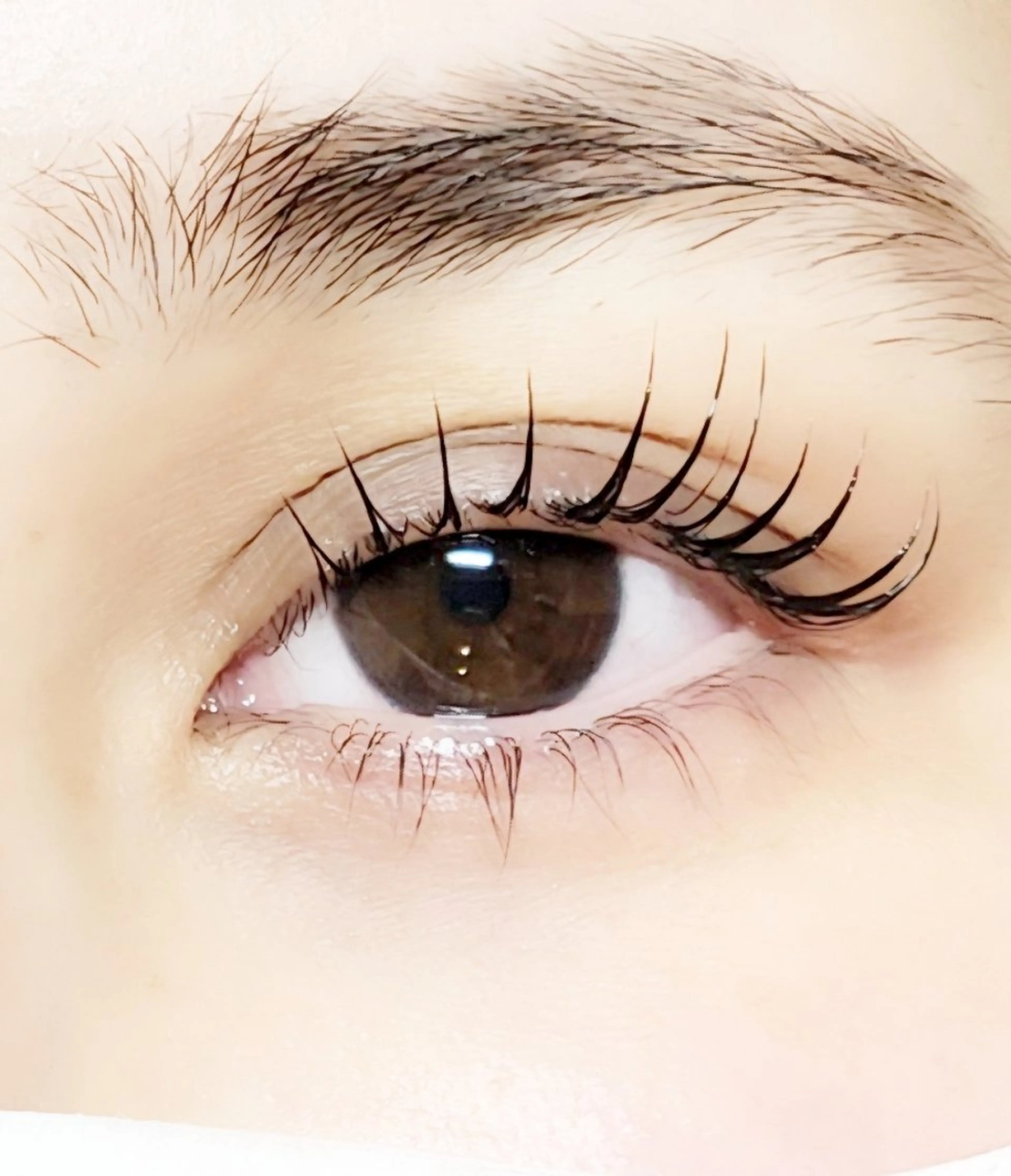 マツエク・マツパ まつげパーマ マツパ eyelash R𓇼eri🐈️のマツエク・マツパデザイン