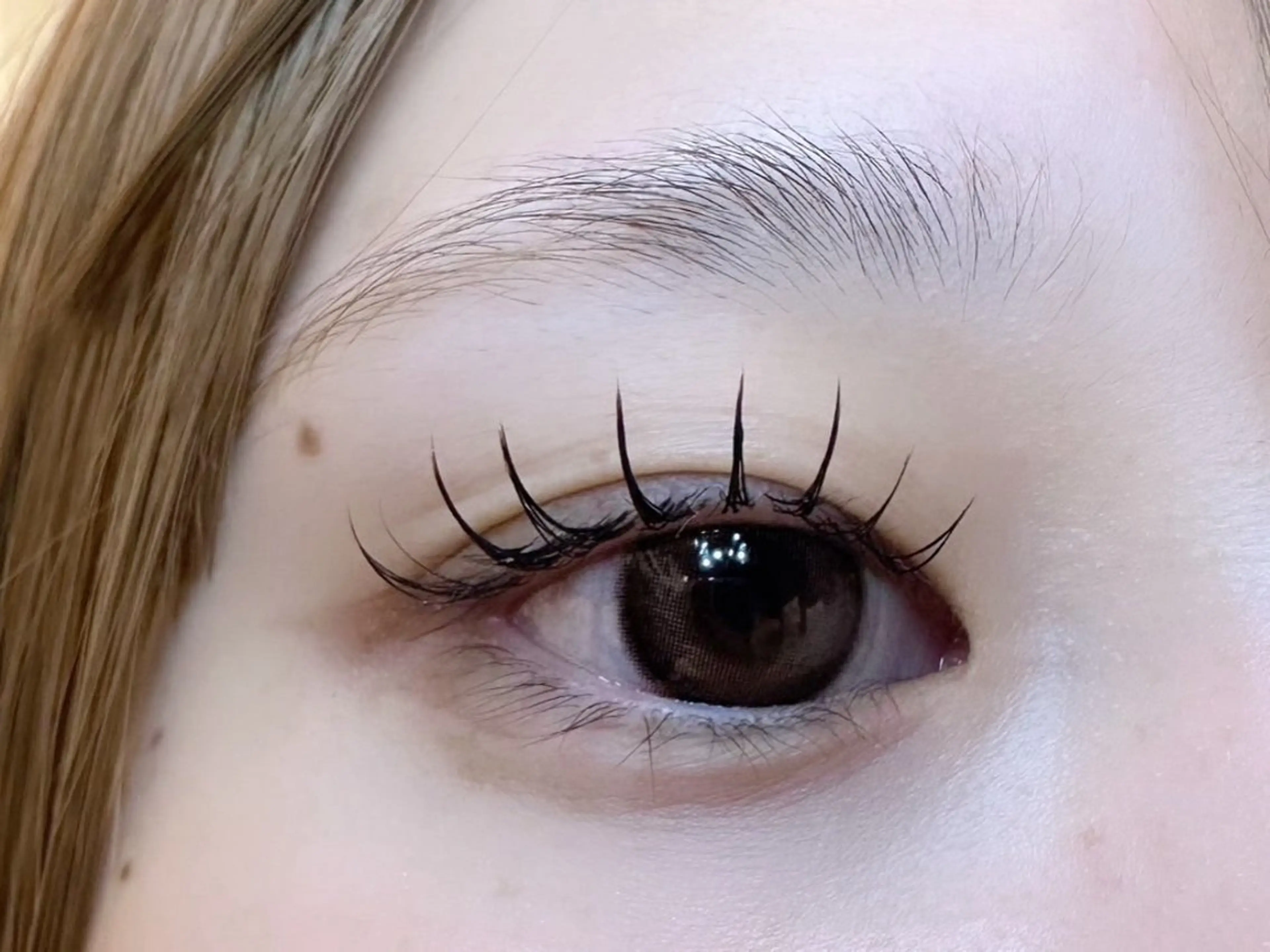 【✨モデル様募集✨】LEDエクステ100本👀の写真