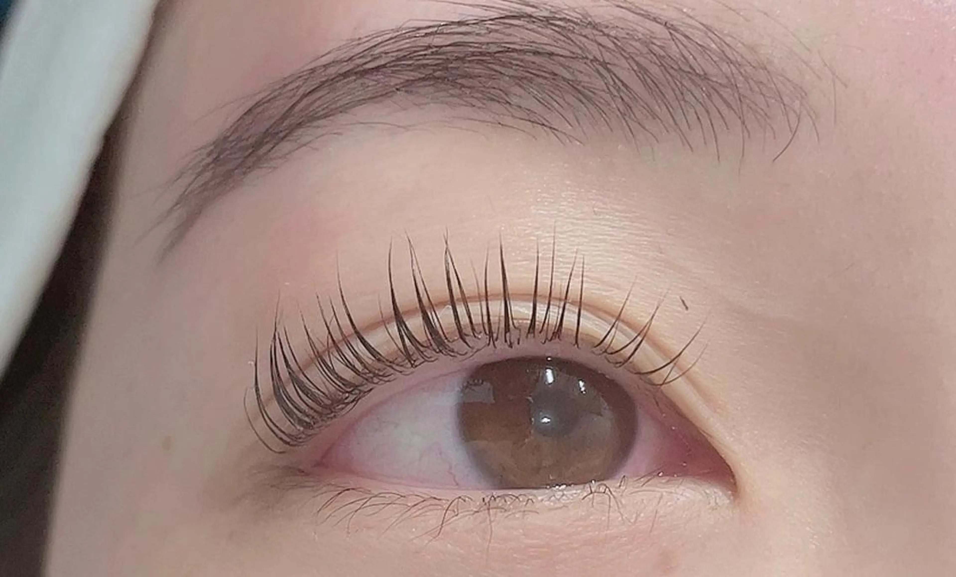 マツエク・マツパ パリジェンヌラッシュリフト Eyelash ＊Freakのマツエク・マツパデザイン