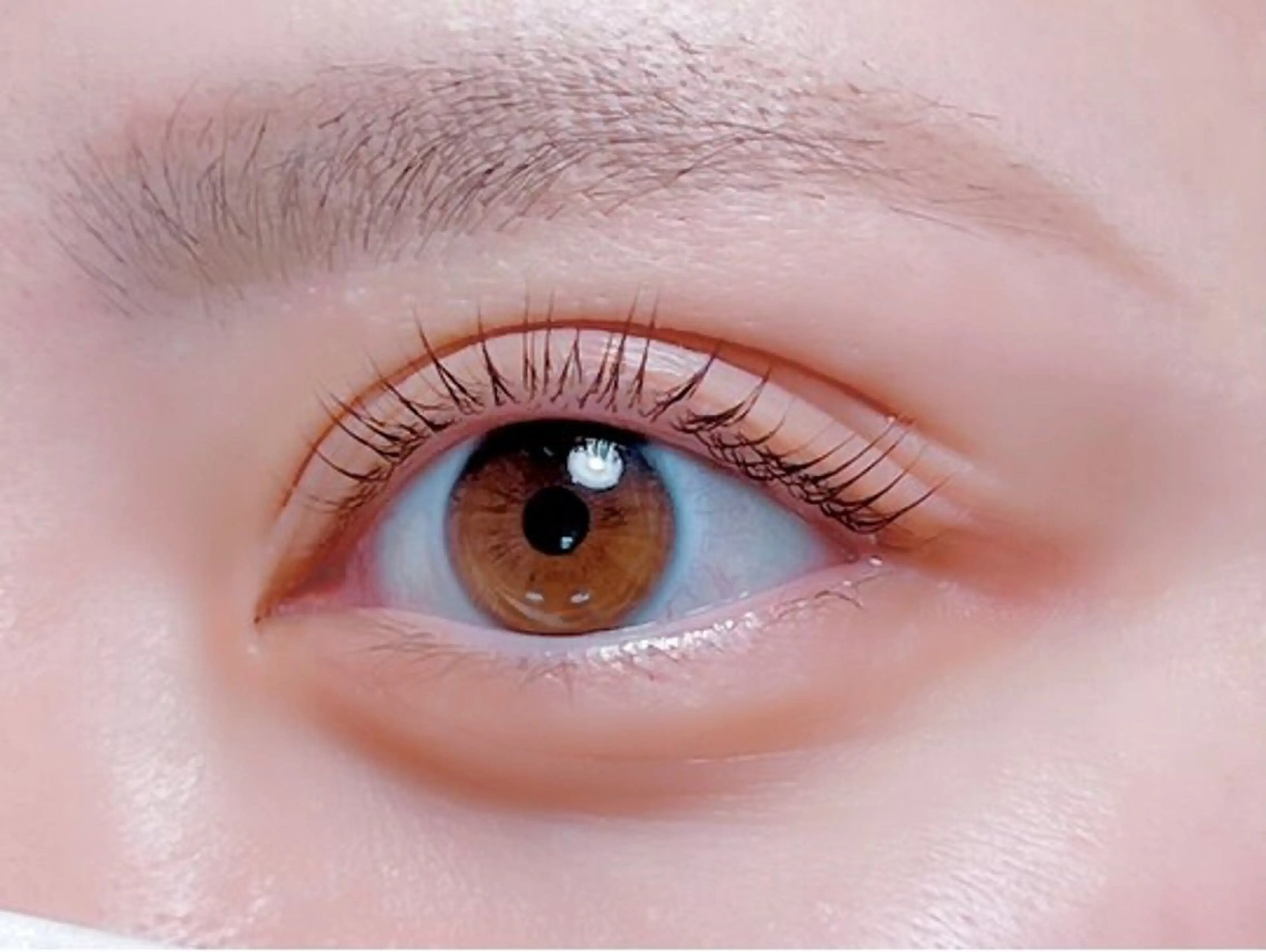 ラッシュリフト 上下の写真