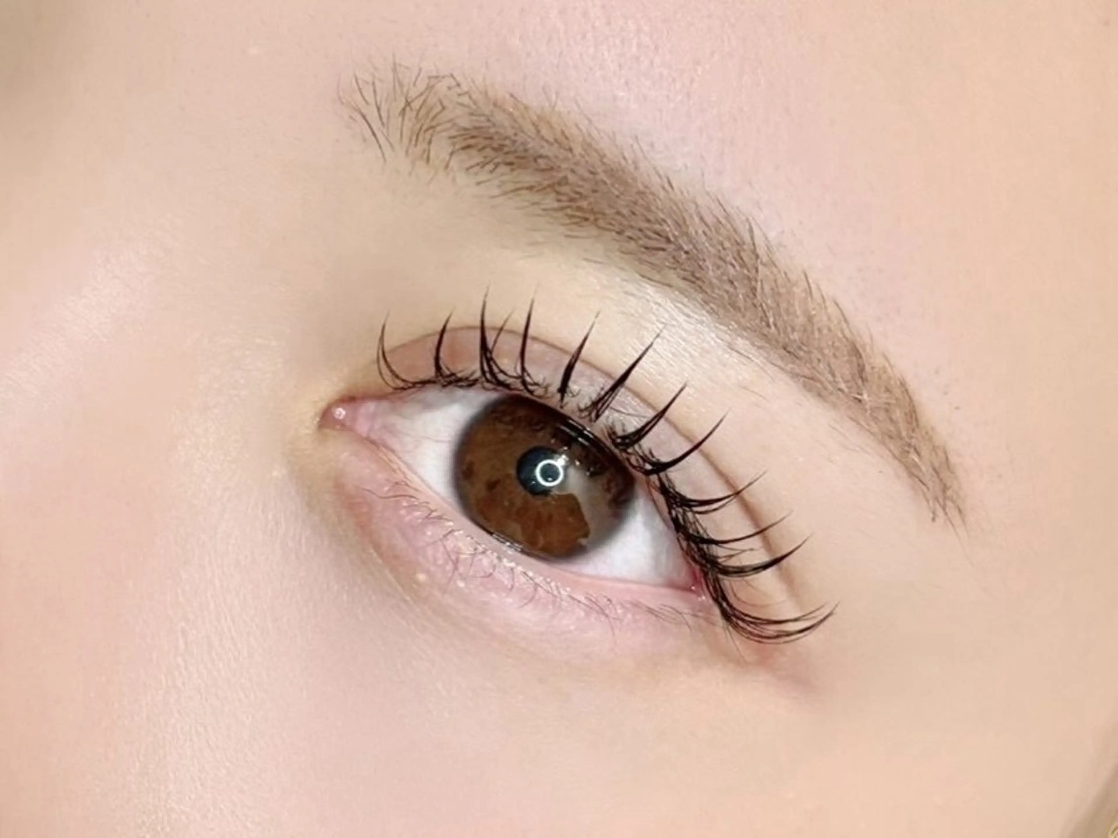 フラットラッシュ120本の写真