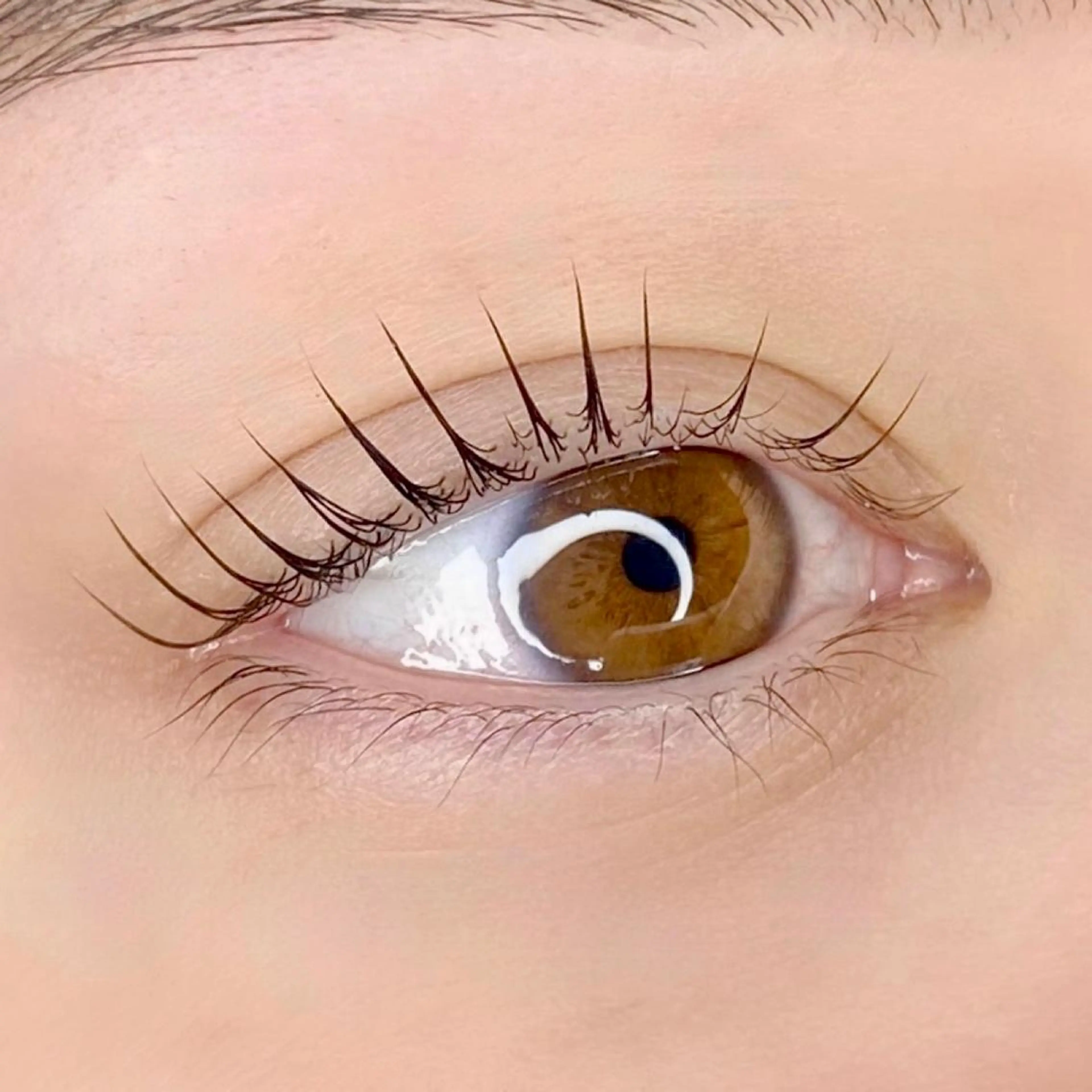 マツエク・マツパ アイブロウ パリジェンヌラッシュリフト BEMOA eyelash&eyebrow所属・BEMOA 藤本 毬のマツエク・マツパデザイン