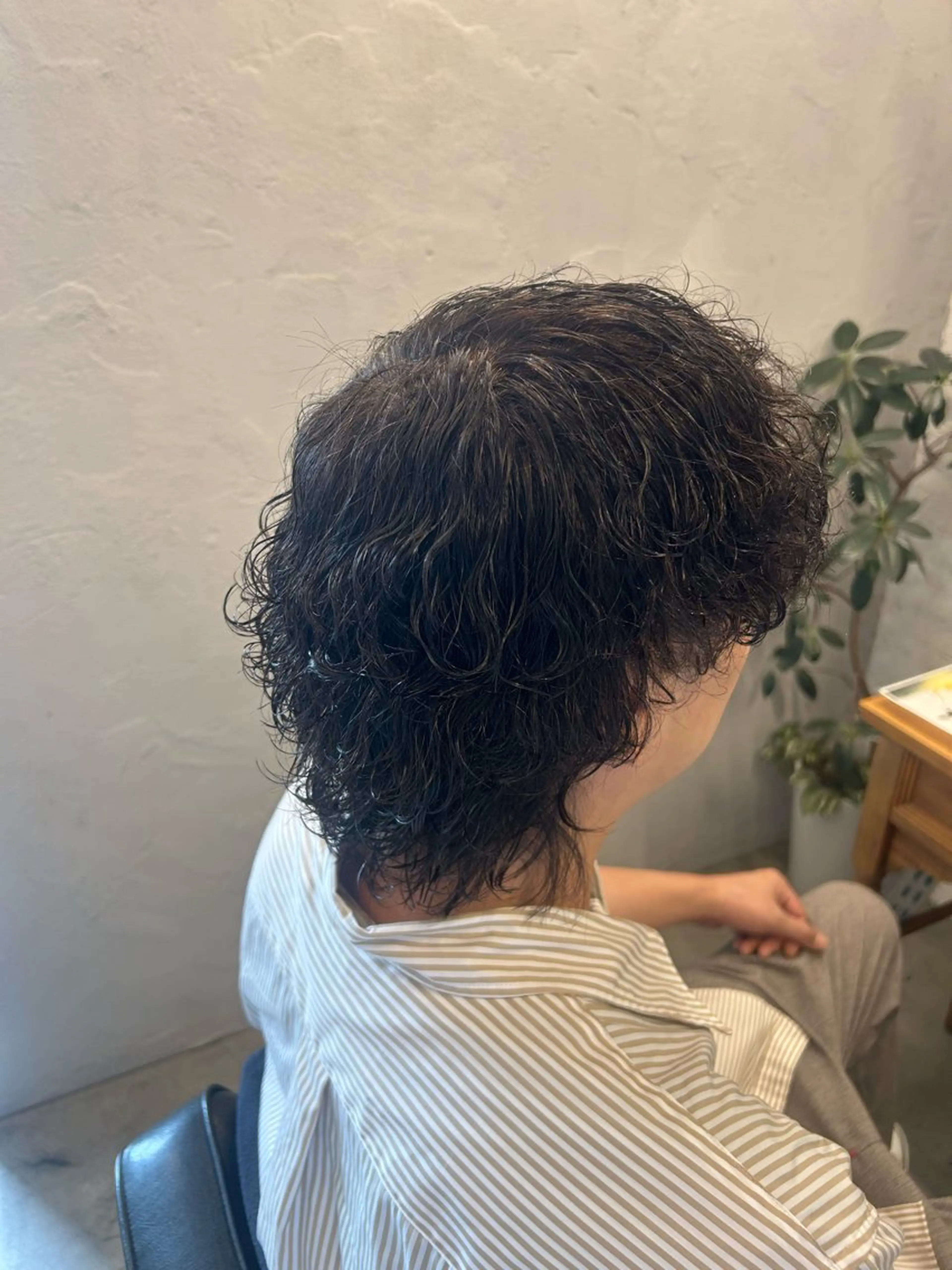 メンズ 波巻きパーマ メンズウルフカット ウルフカット 川上 凌佑のヘアスタイル