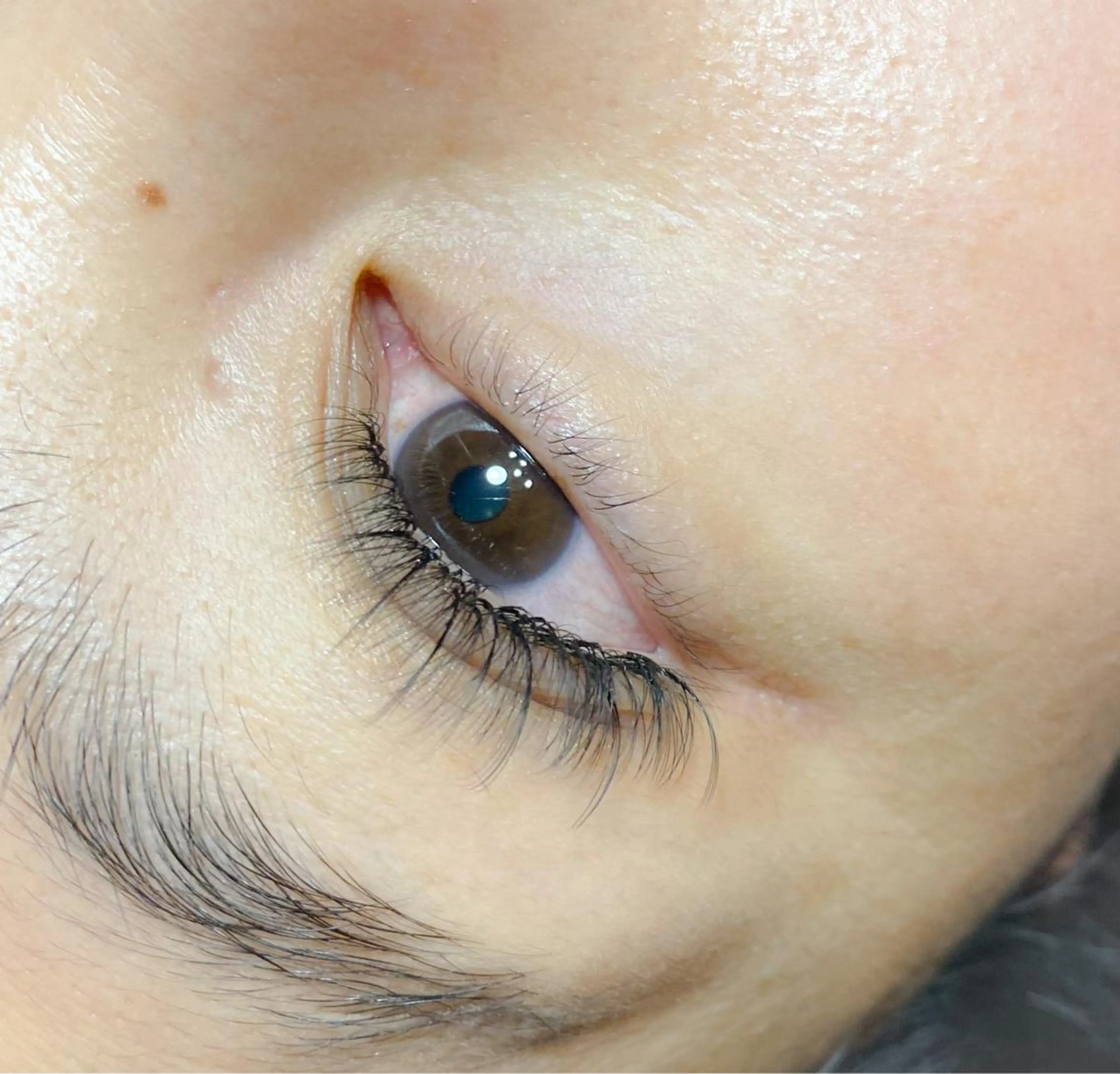 マツエク・マツパ まつ毛パーマまつエク 緑が丘徒歩1分/松田のマツエク・マツパデザイン