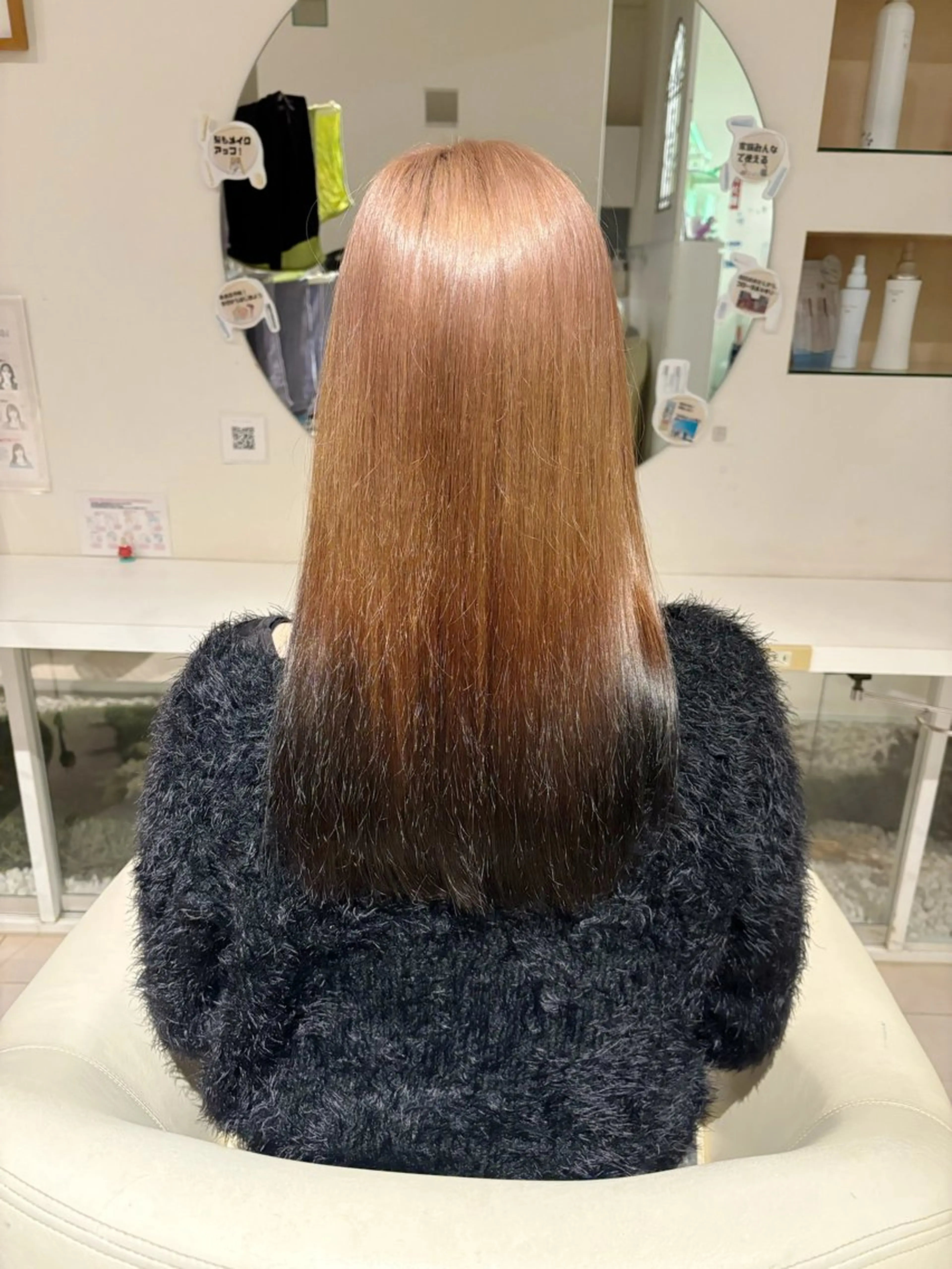 カットモデルの写真