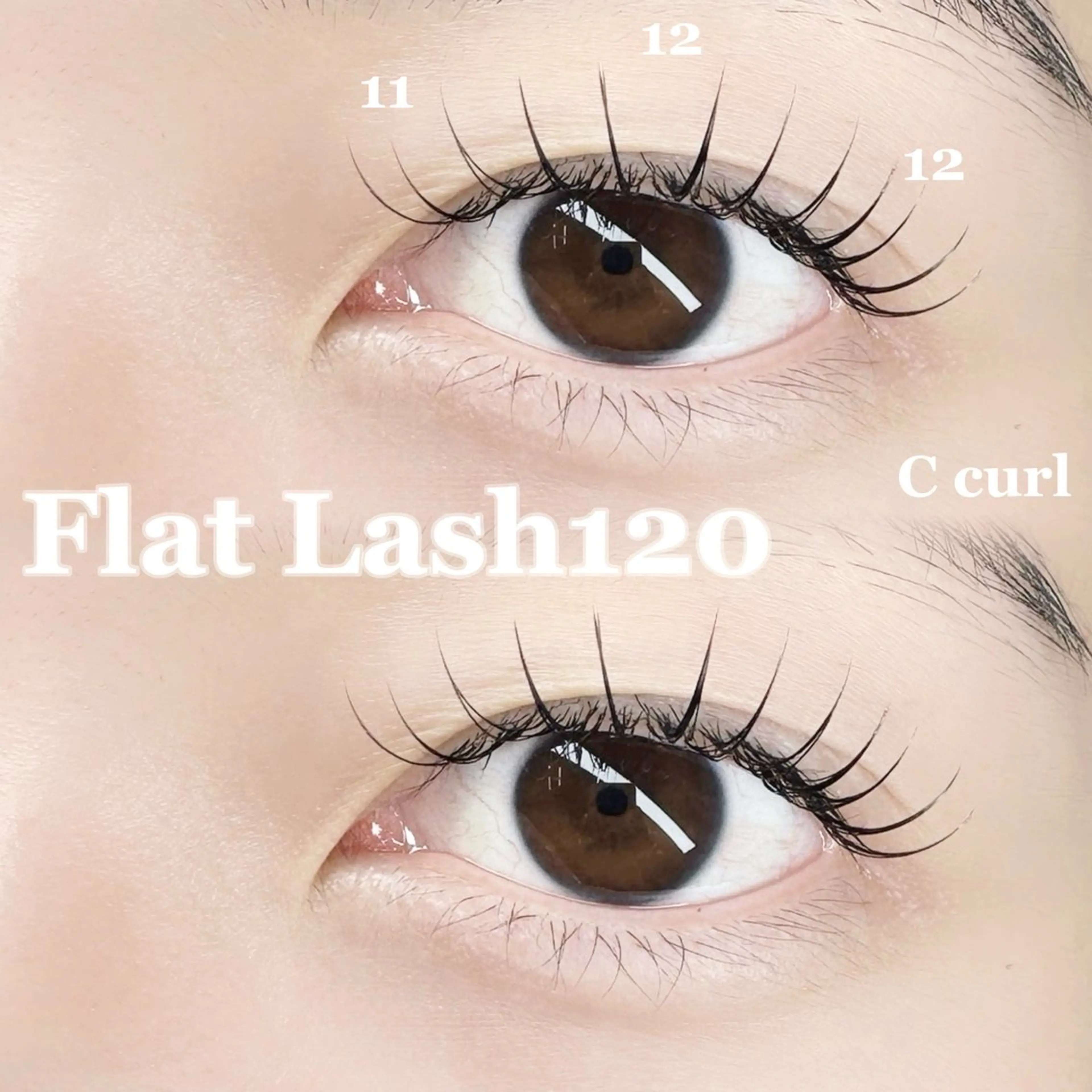 【ミニモ限定】フラットラッシュ140本🪽💕の写真