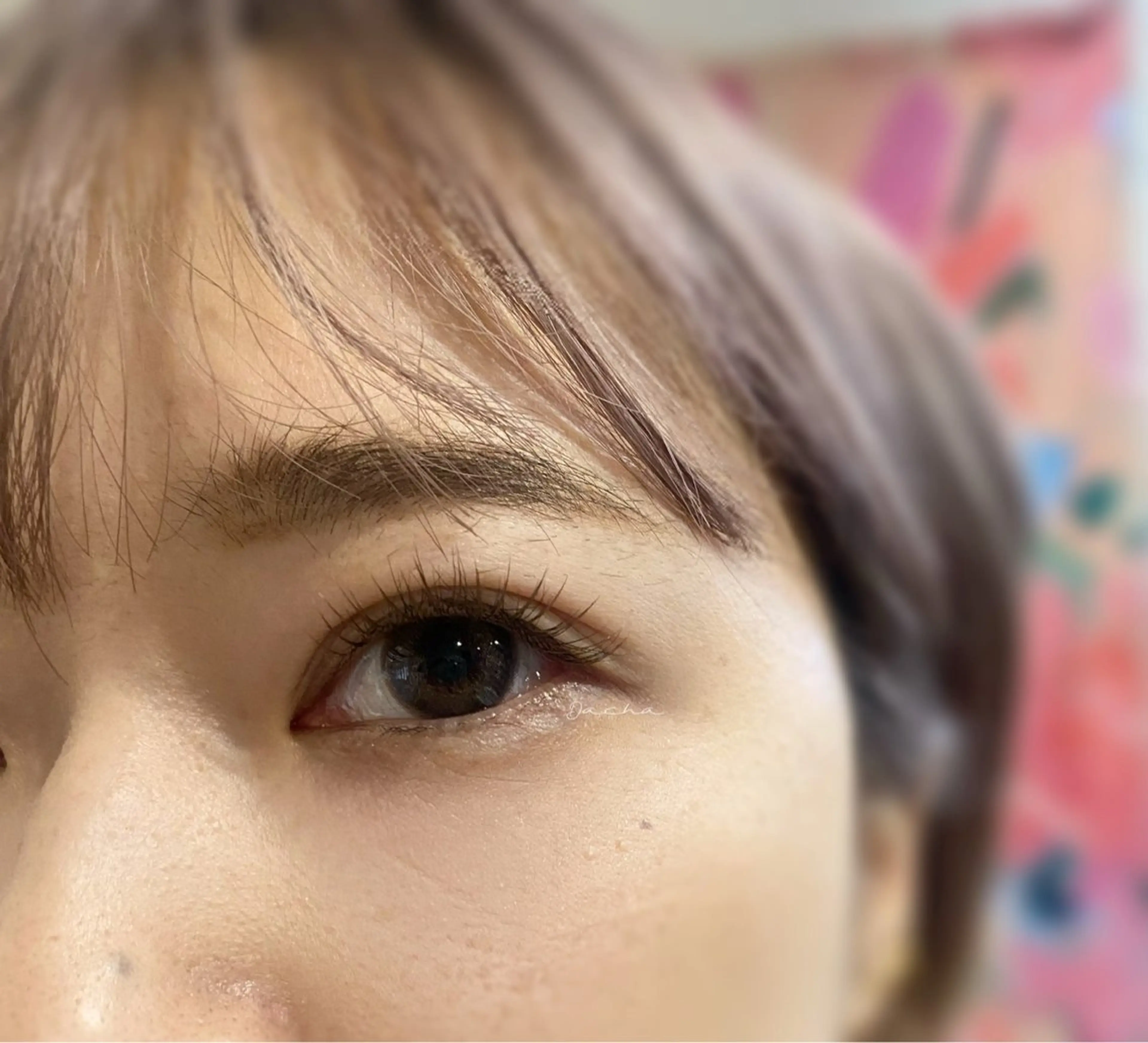 マツエク・マツパ マツエク Dacha傷めない 大人のまつ毛屋さんの眉毛・アイブロウイメージ