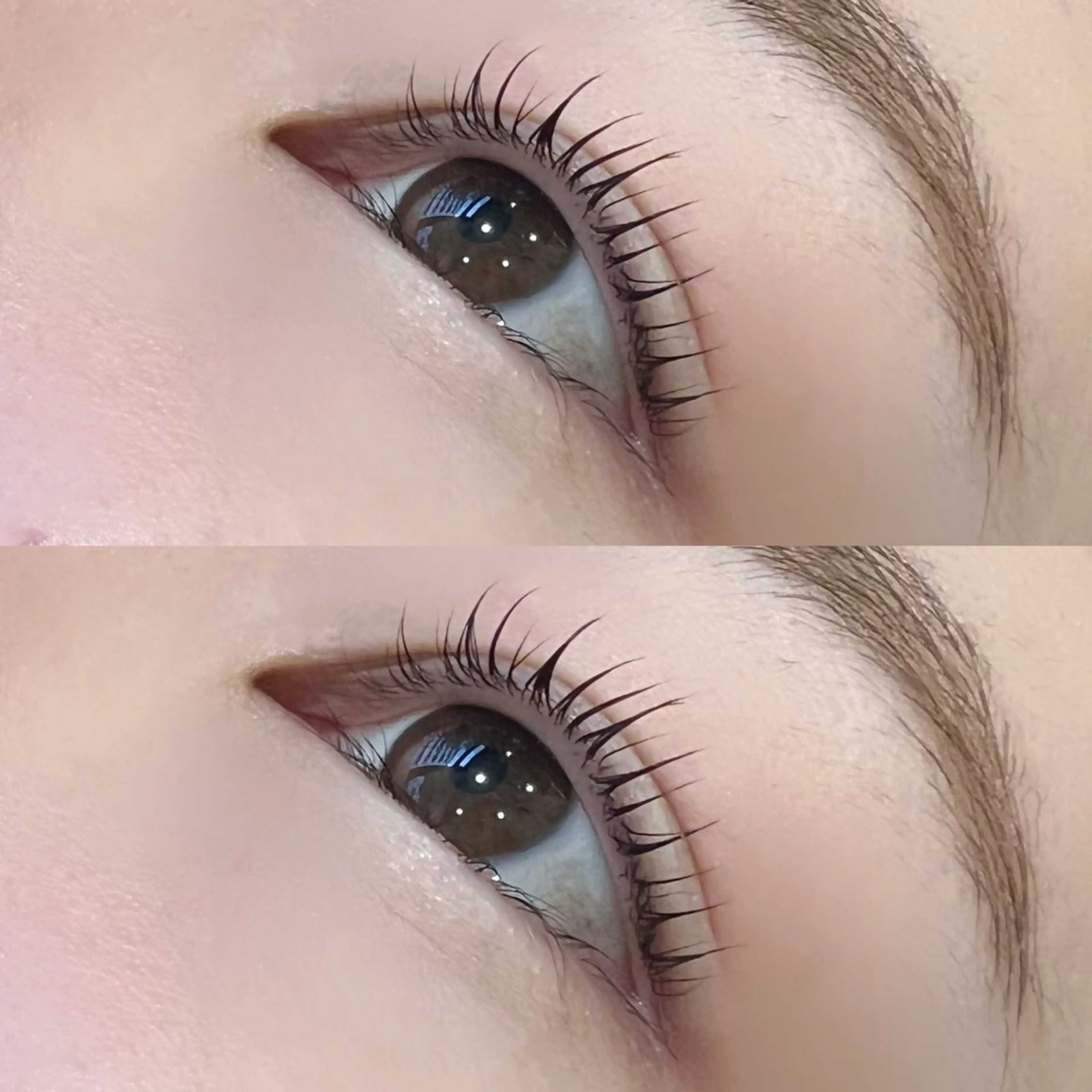 マツエク・マツパ Cカール H eyelash 吉祥寺店所属・nico/束感まつ毛 /アンドヘルシーのマツエク・マツパデザイン
