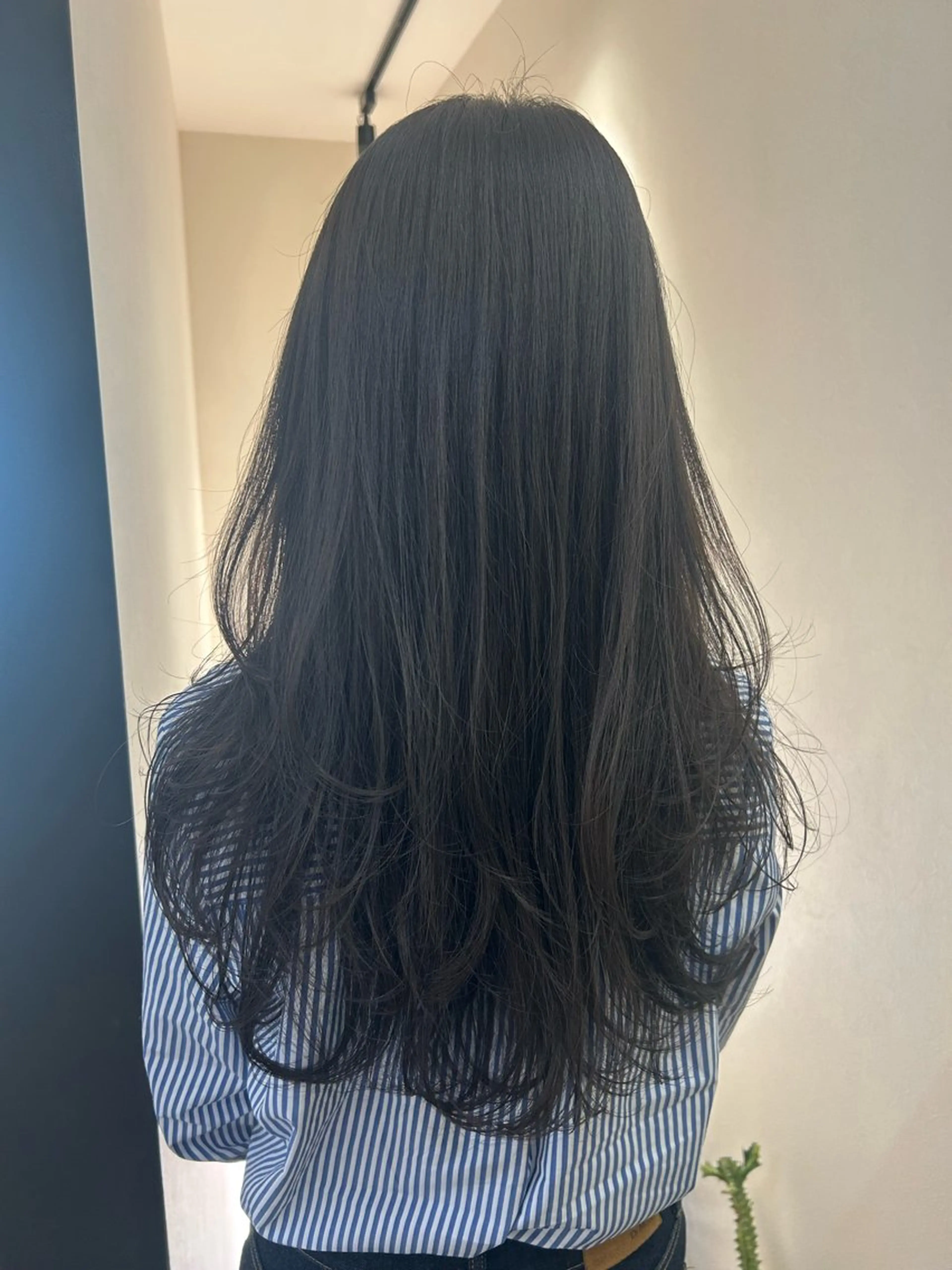 ロング カラー アッシュ アッシュグレー アッシュグレージュ グレージュ レイヤーカット カット ヘアカラー トリートメント hub hair レイヤー/透明感のヘアスタイル