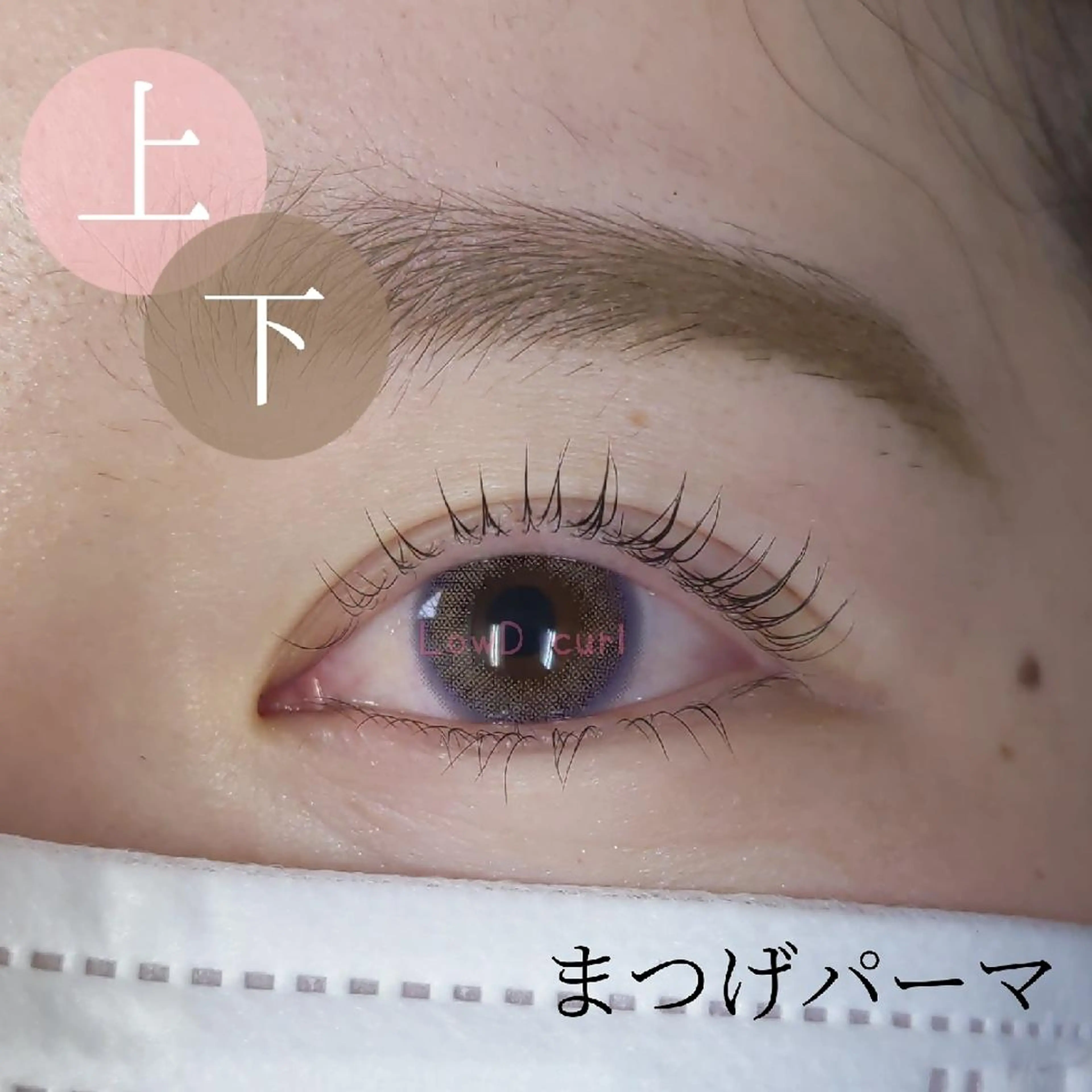 【レディース】《Barbieラッシュリフト》上下の写真