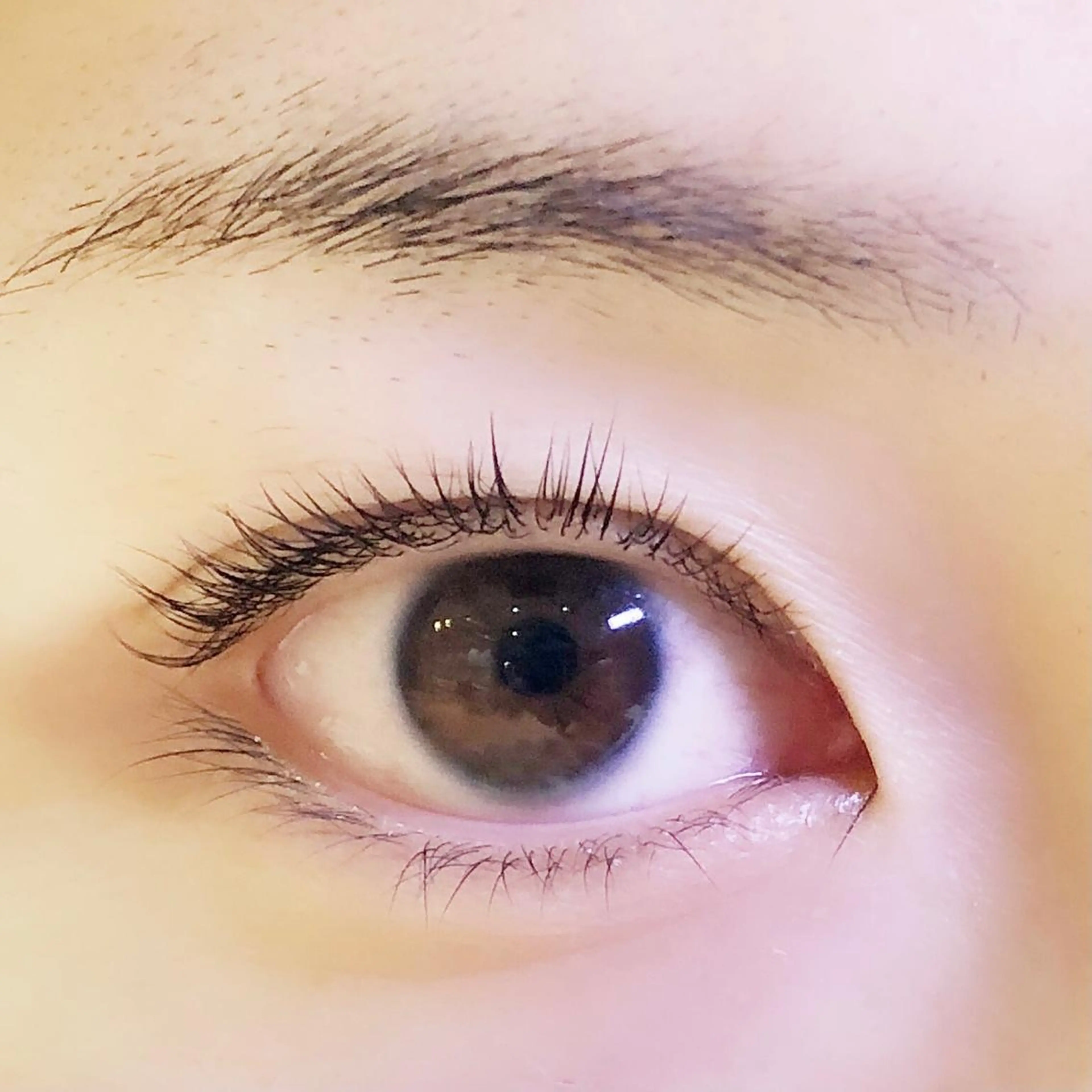 マツエク・マツパ マツパ Nest 三田のマツエク・マツパデザイン