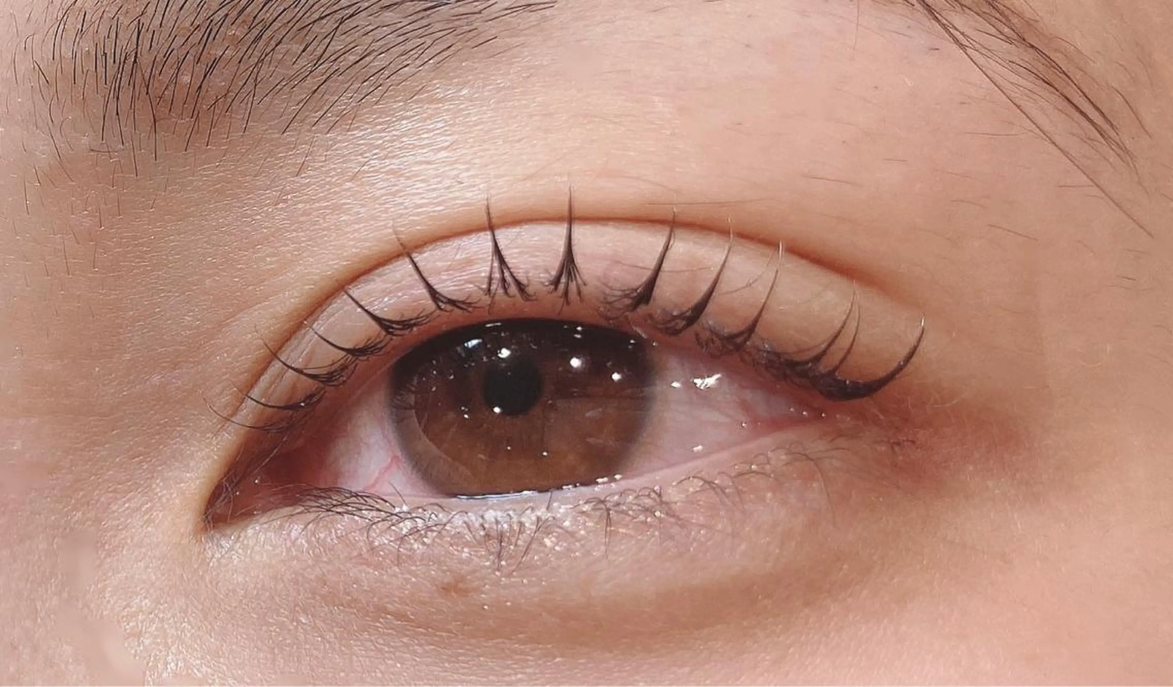 マツエク・マツパ LASH BAR所属・LASH BAR🫧 マエハラのマツエク・マツパデザイン