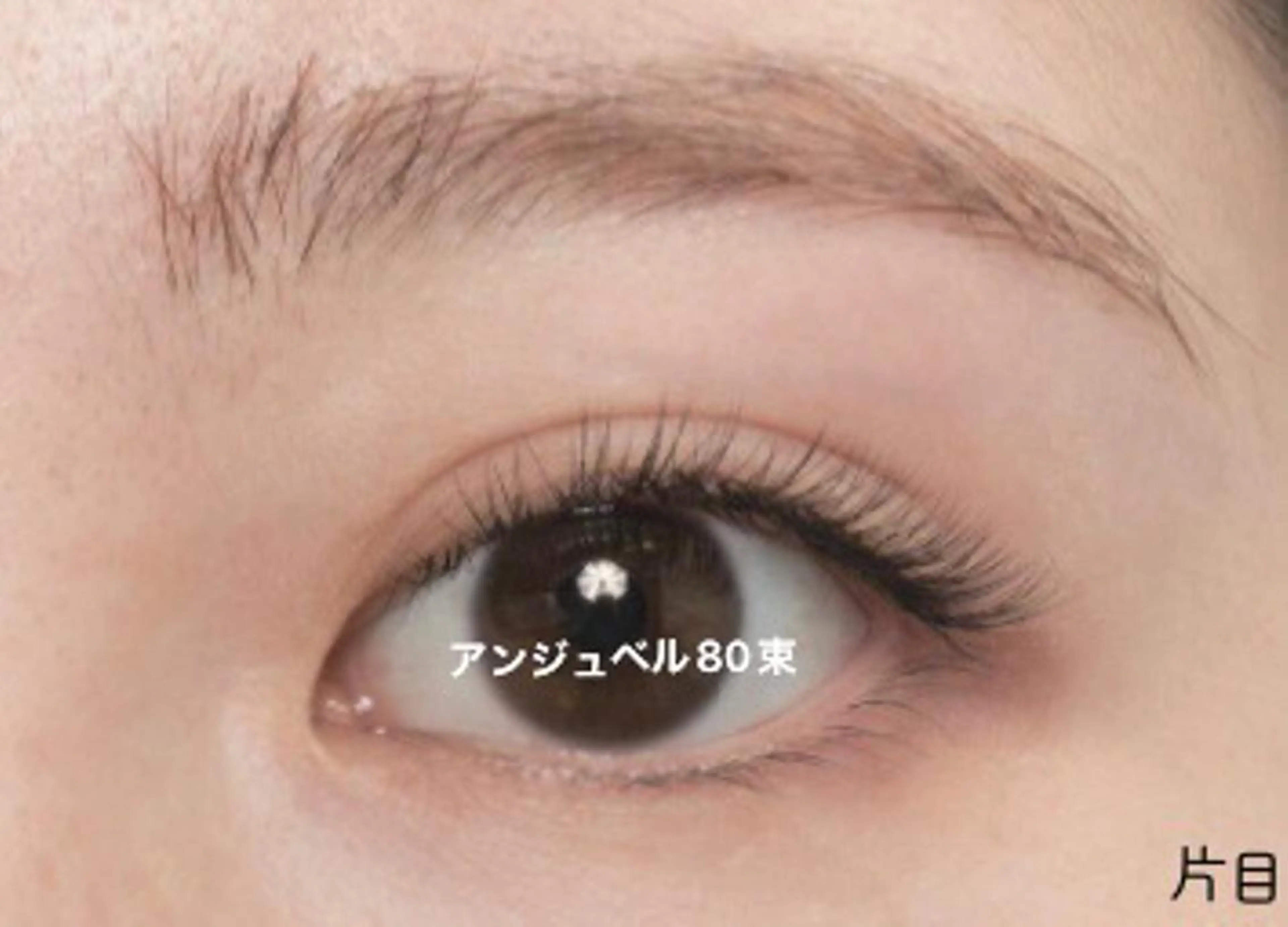 マツエク・マツパ Angenbelle Reina ♥🧸のマツエク・マツパデザイン