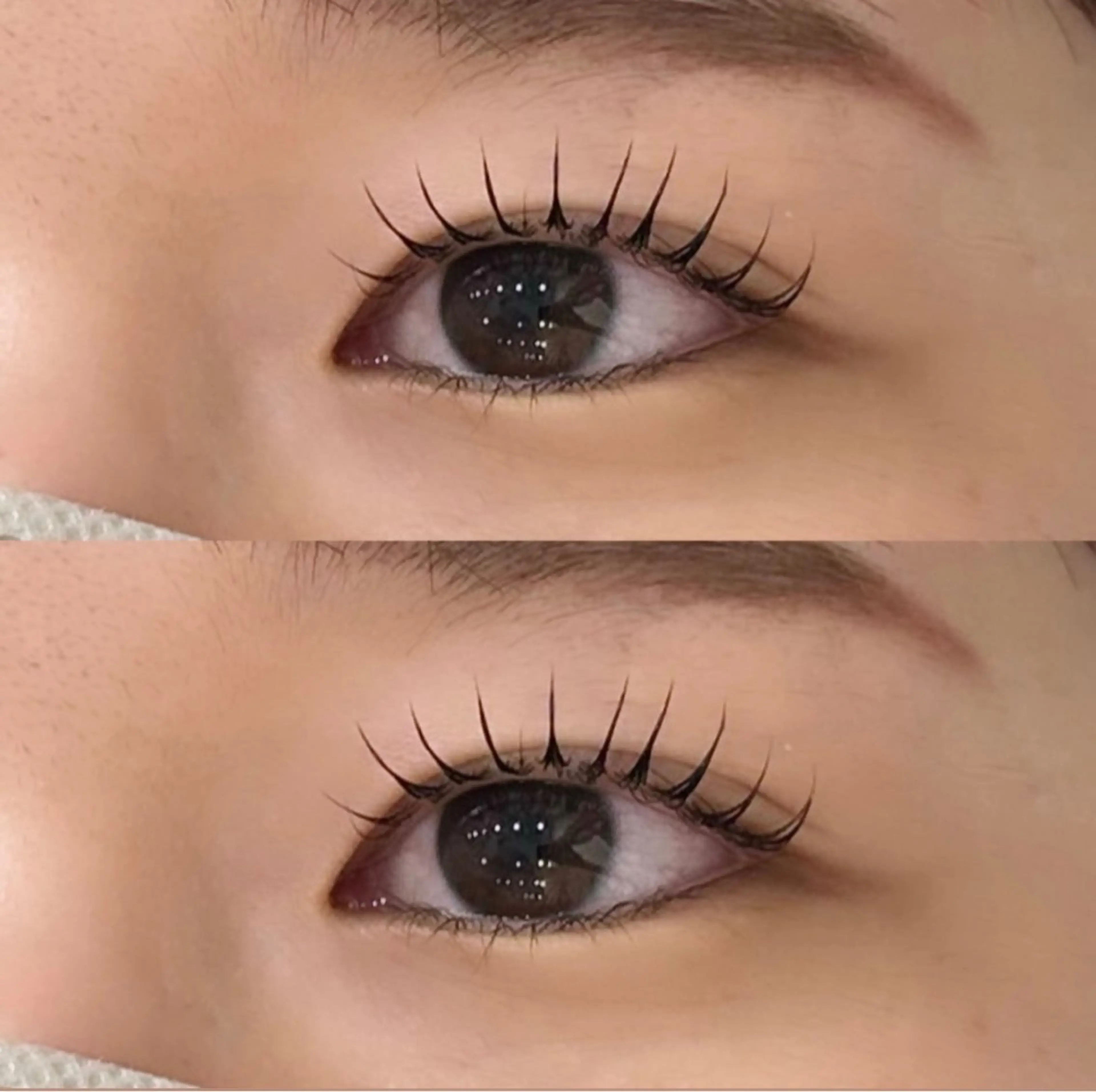 【今話題】🍒韓国風まつ毛パーマ+束感コーティング仕上げ🍒 ¥3480の写真