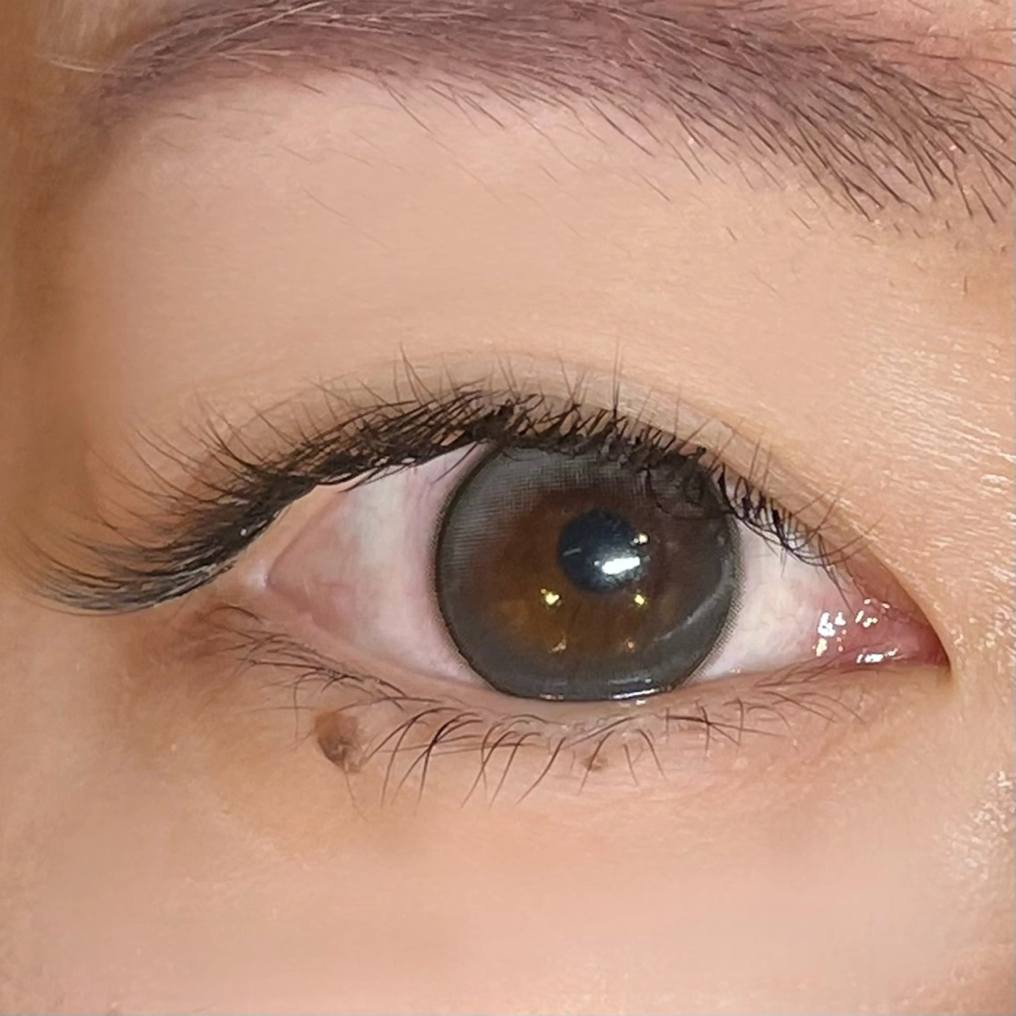 マツエク・マツパ ボリュームラッシュ シュモレフェリーク所属・🍑 MOMOのマツエク・マツパデザイン