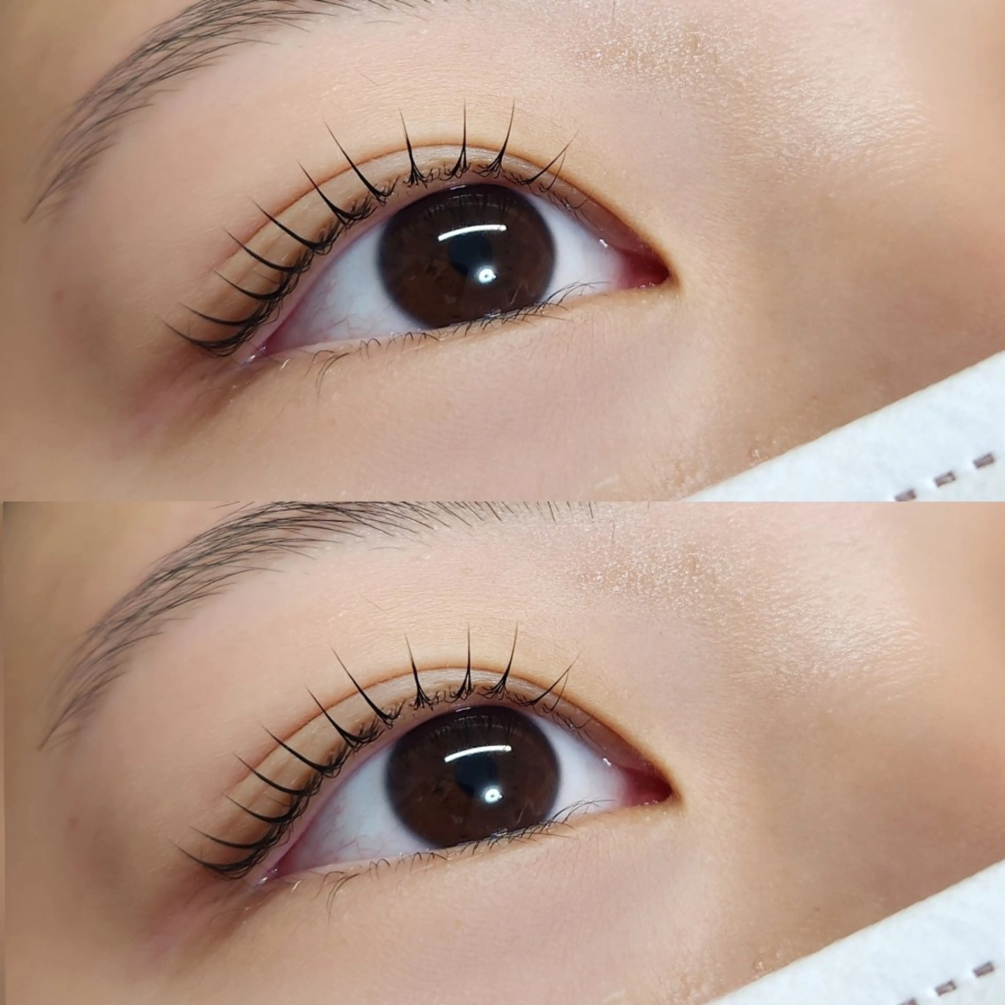 まつげパーマ(アイシャンプー付♪)の写真