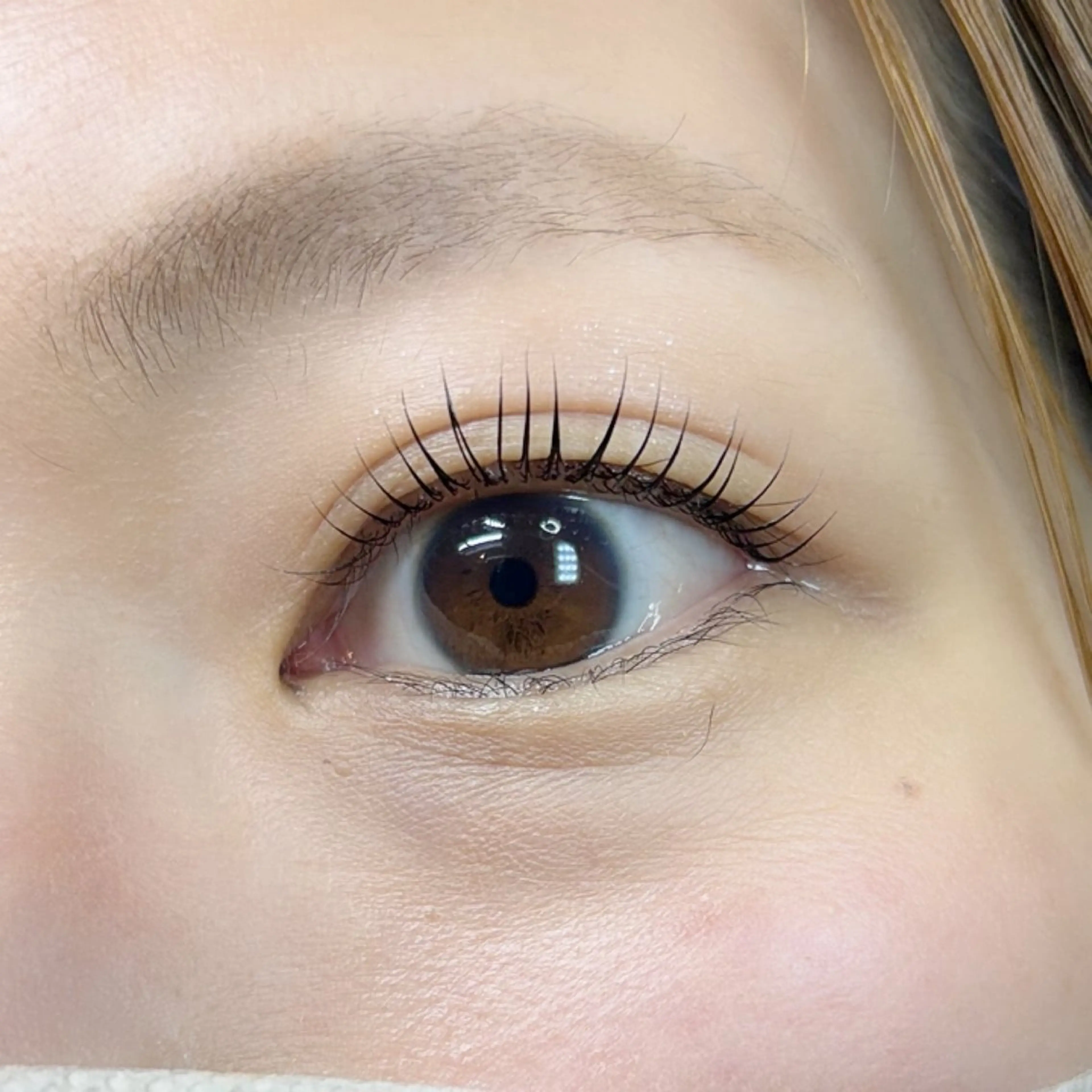 マツエク・マツパ マツパ MIU nail&eye所属・MIU eyelist_aのマツエク・マツパデザイン