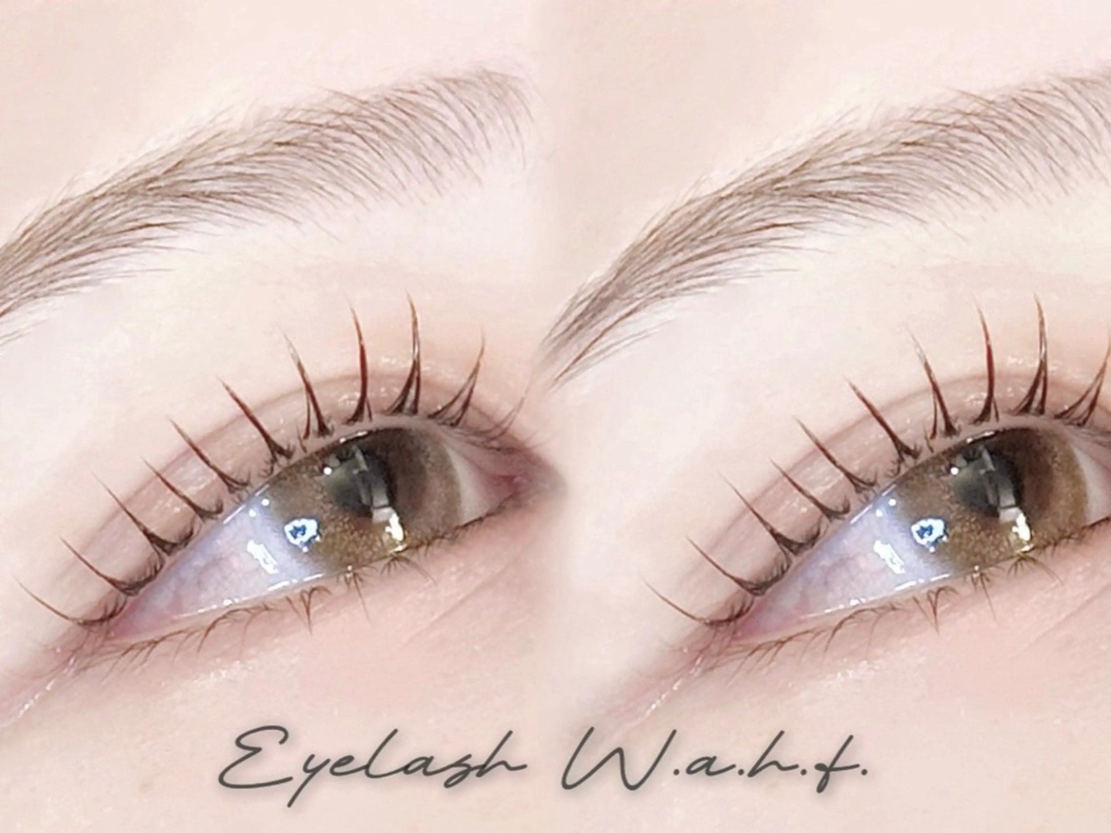 マツエク・マツパ マツパ 口コミ高評価⚡️ Wahf/そうたのマツエク・マツパデザイン