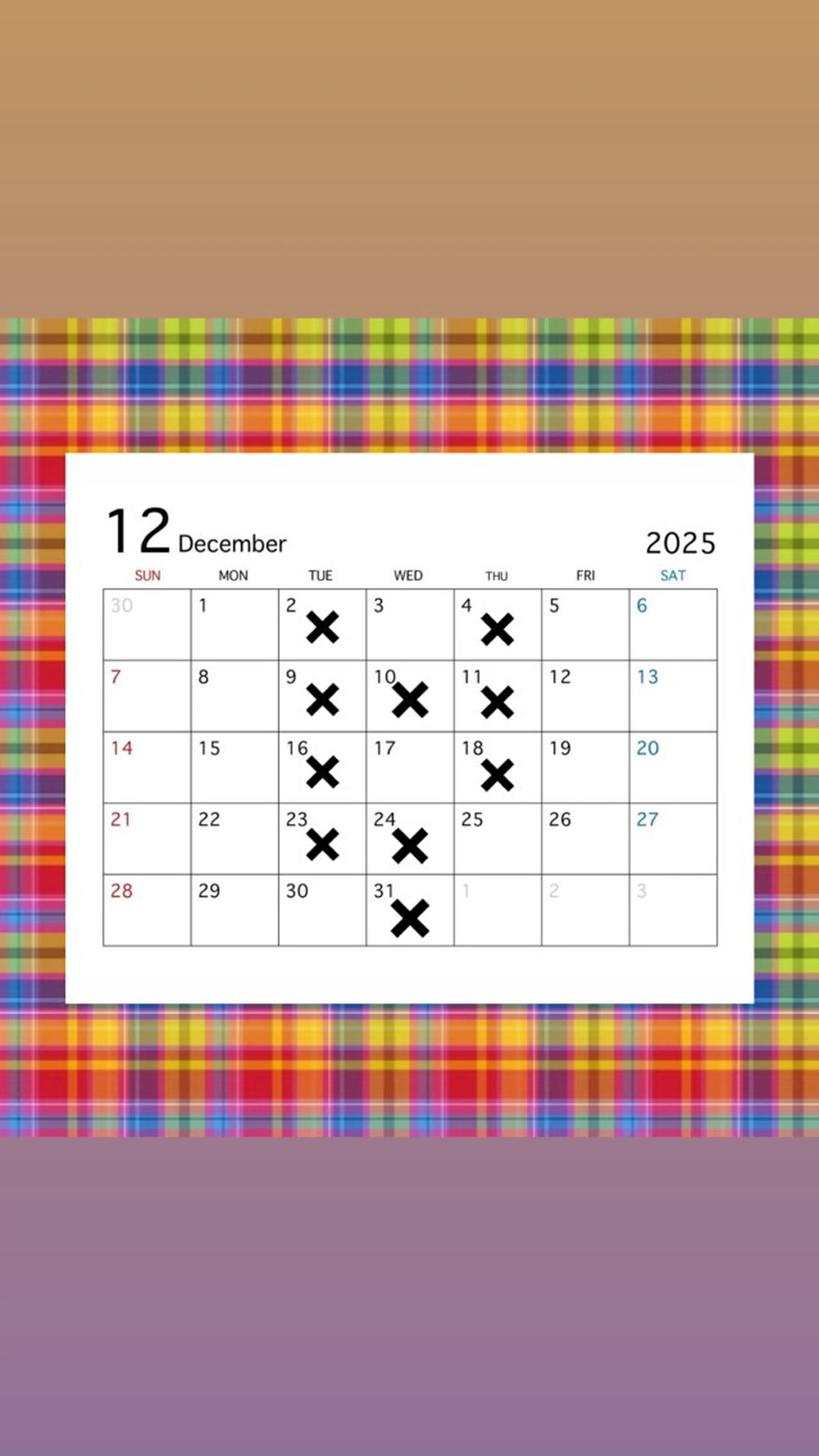 林 咲弥那のヘアスタイル