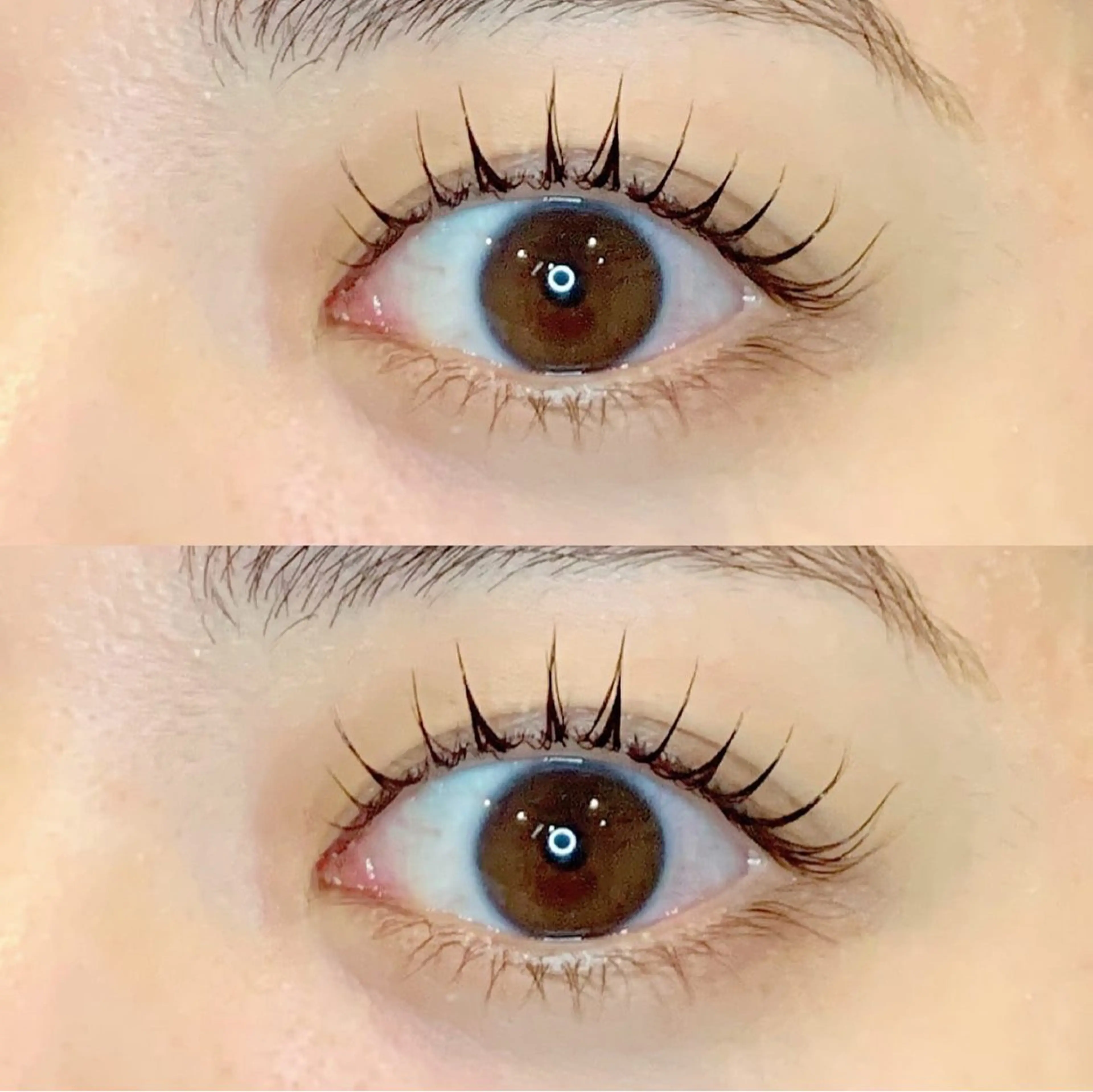 ✨セット✨上下まつ毛パーマ＋アイブロウWAXの写真