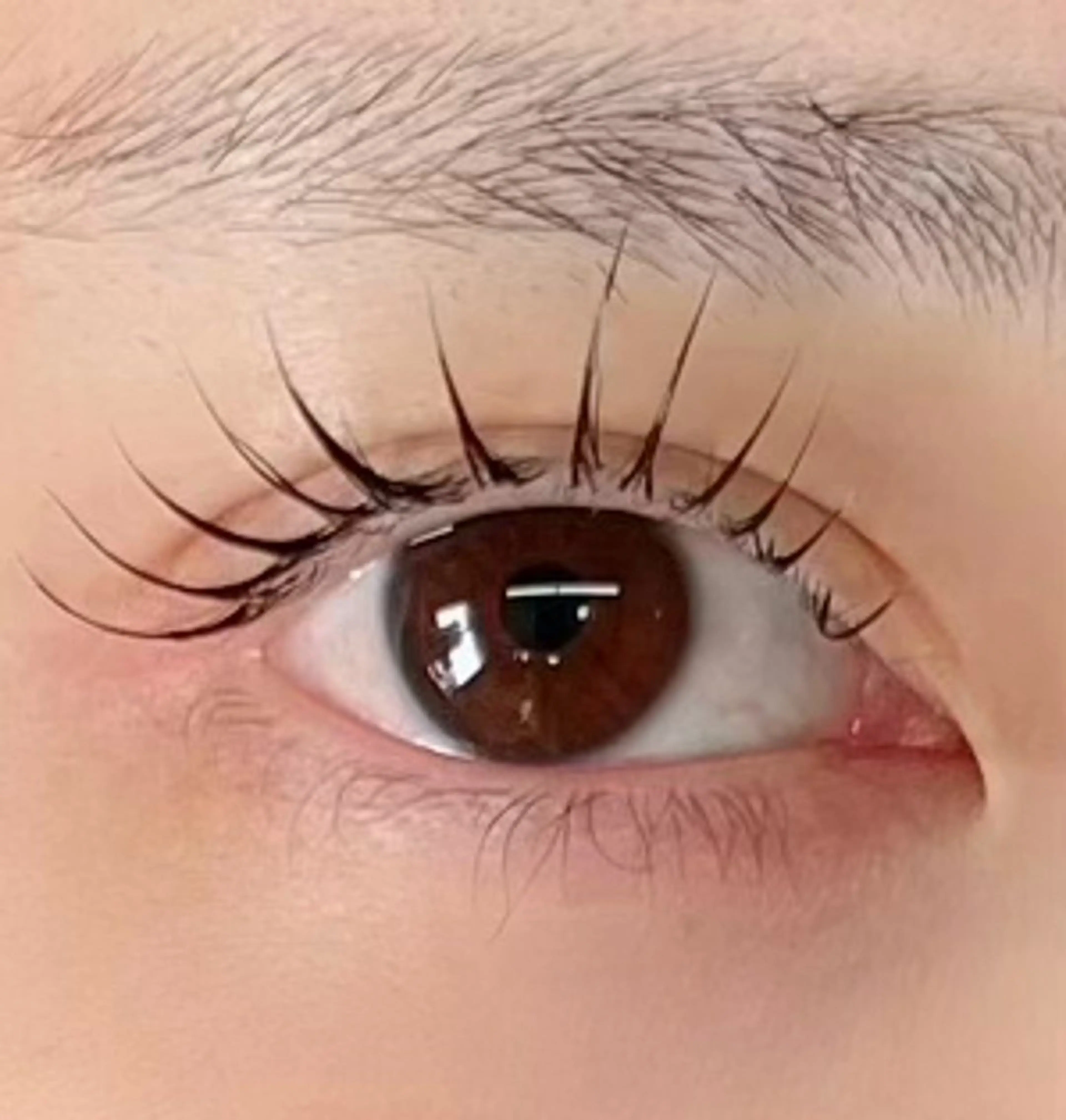 マツエク・マツパ Fameu+ HIMEKAのマツエク・マツパデザイン