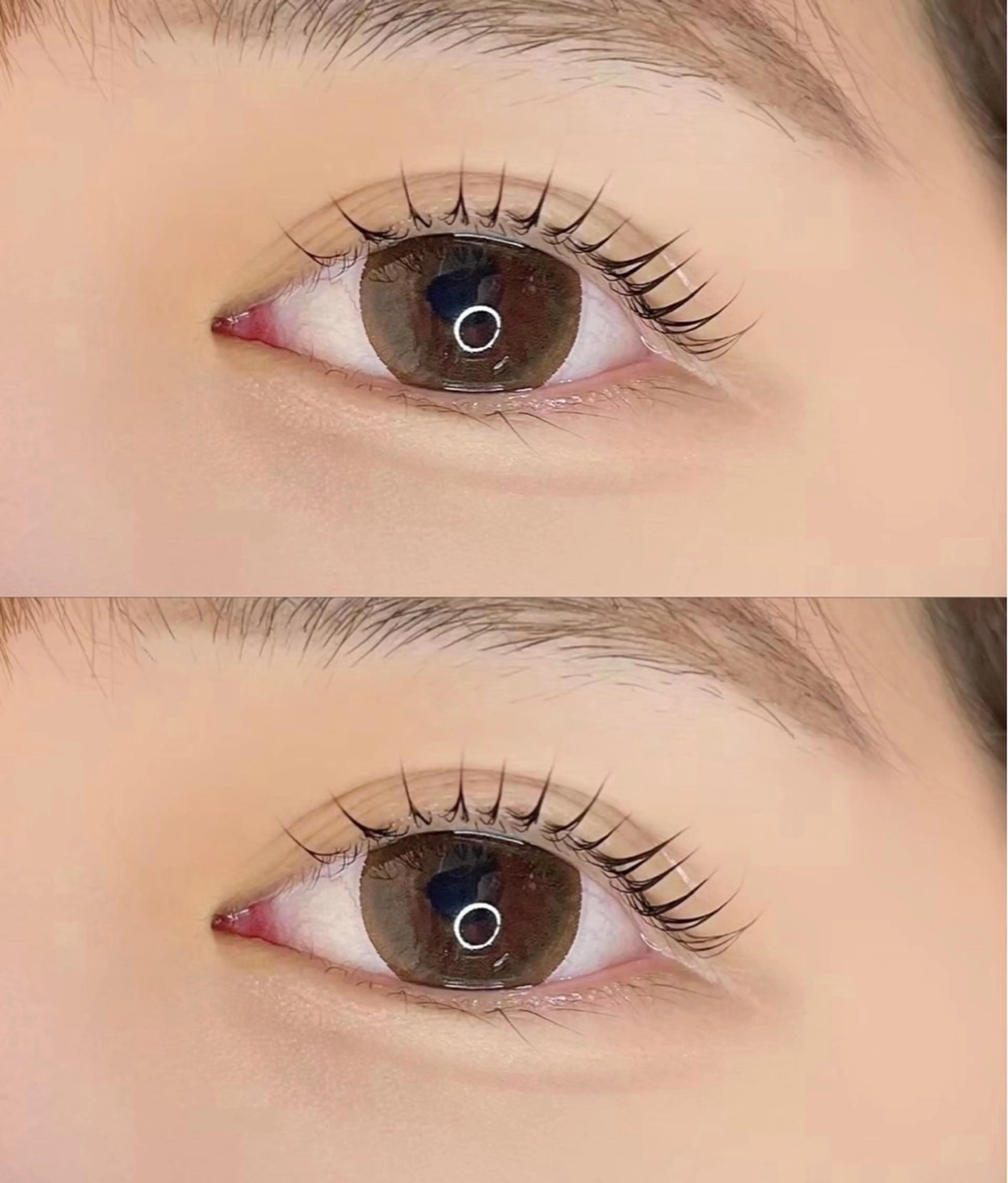 マツエク・マツパ ナチュラル 一重×まつ毛パーマ eve🐰束間まつ毛 /透明感カラーのマツエク・マツパデザイン
