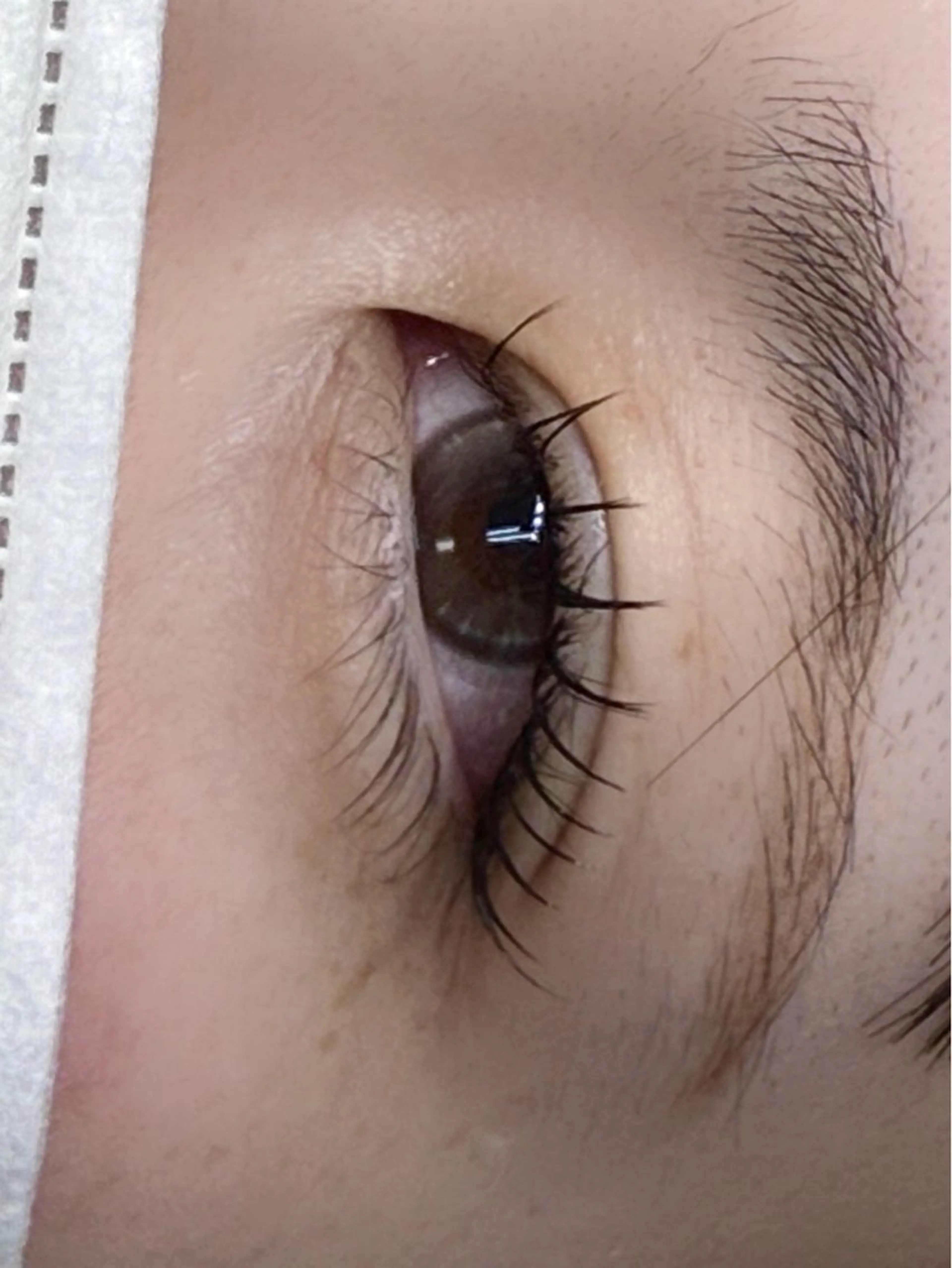 マツエク・マツパ MAQUIA 桑野店 和久のマツエク・マツパデザイン