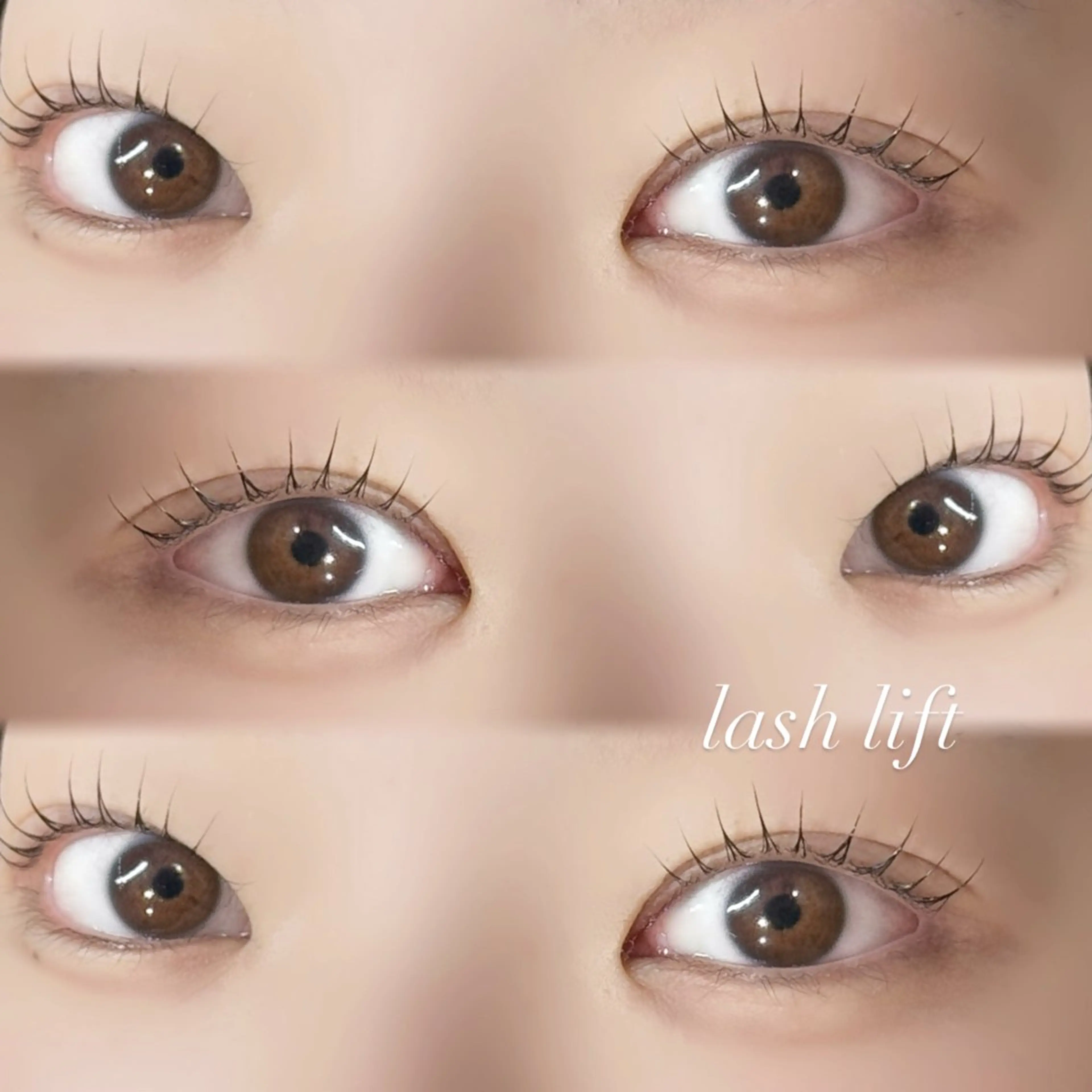 マツエク・マツパ 🪺fein. chihiro🪹のマツエク・マツパデザイン