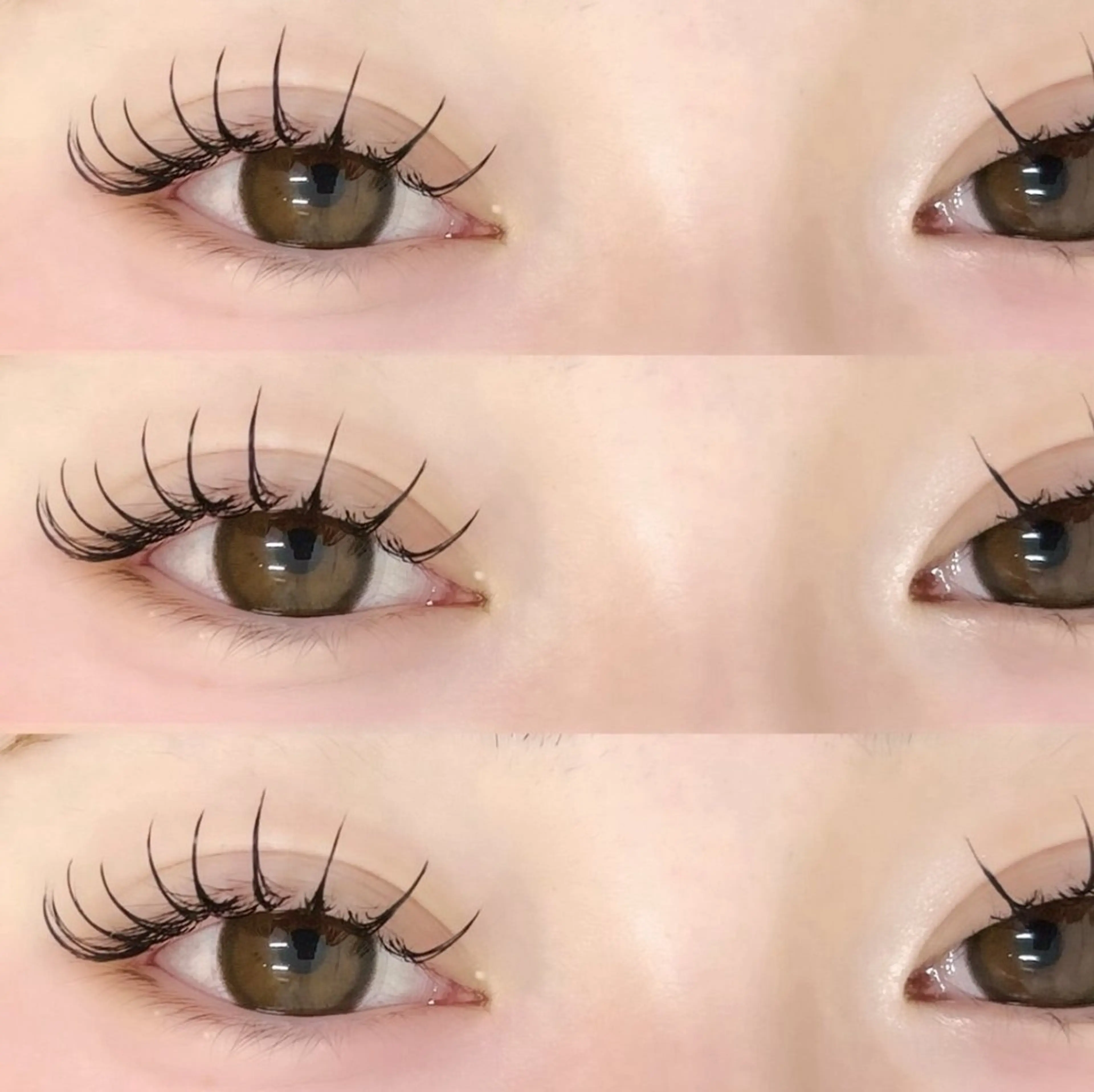 フラッシュラッシュ120本の写真