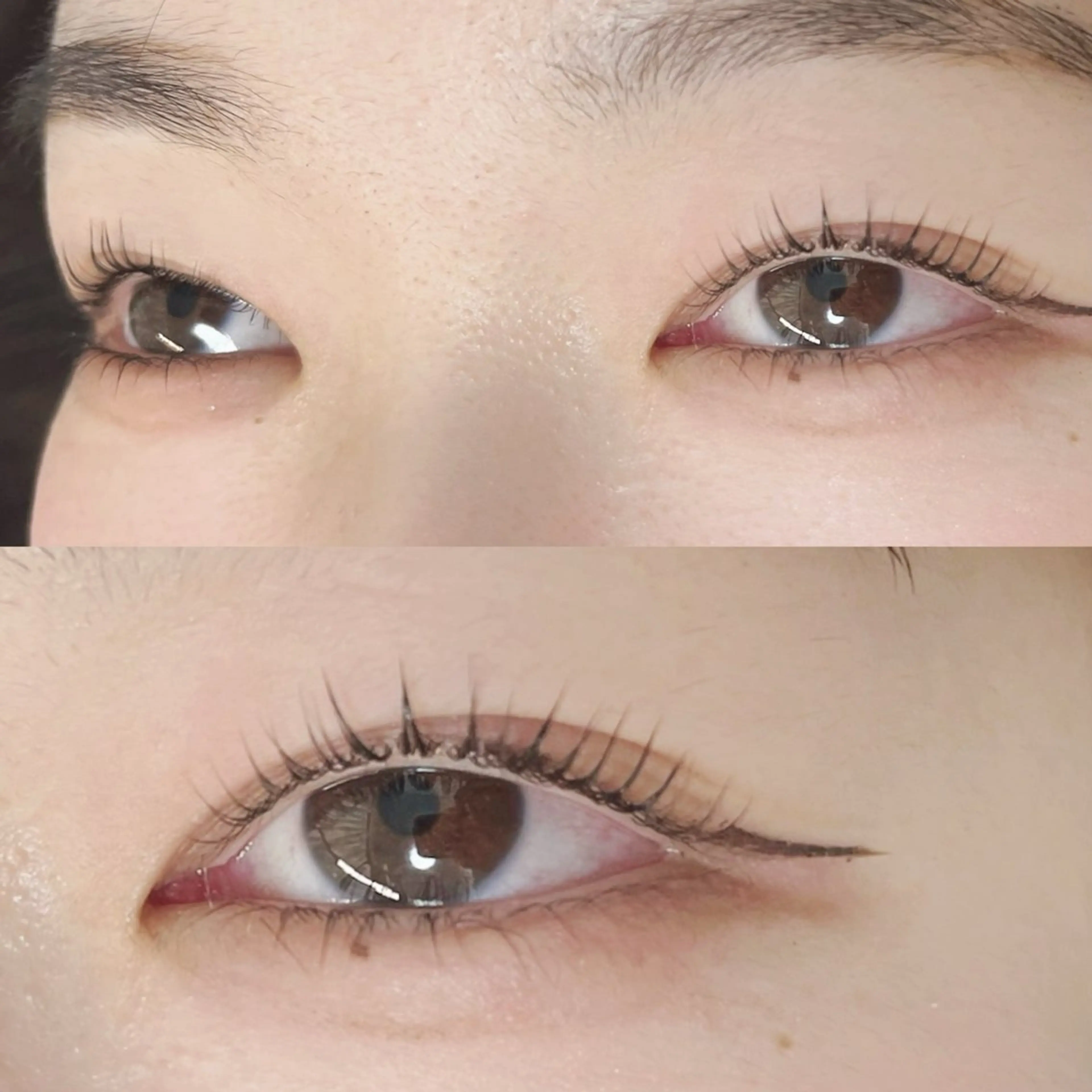 《ケラチントリートメント付き💠》🎀ラッシュリフト上下🎀の写真