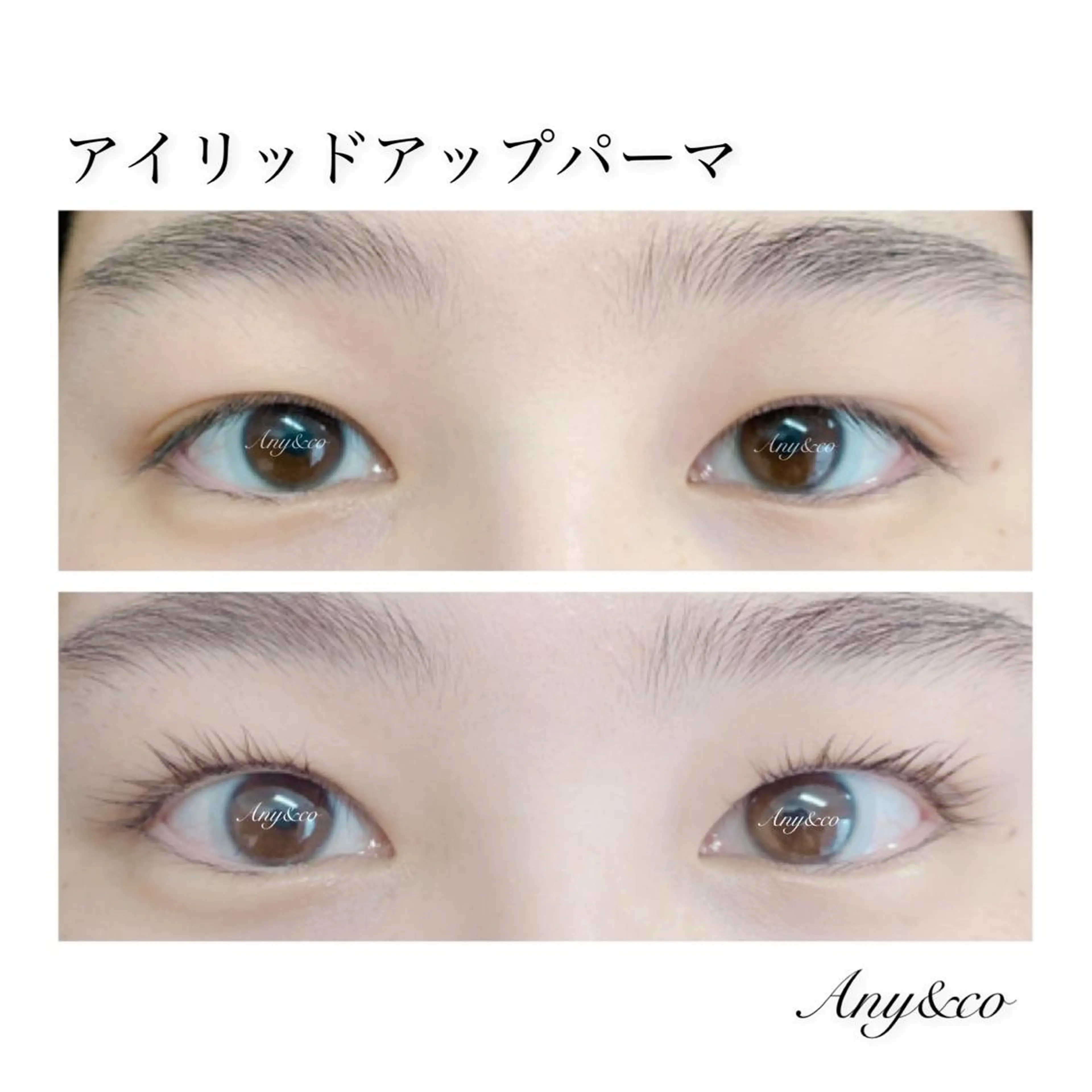 マツエク・マツパ アイリッドアップパーマ Any&co 【エニコ】のマツエク・マツパデザイン