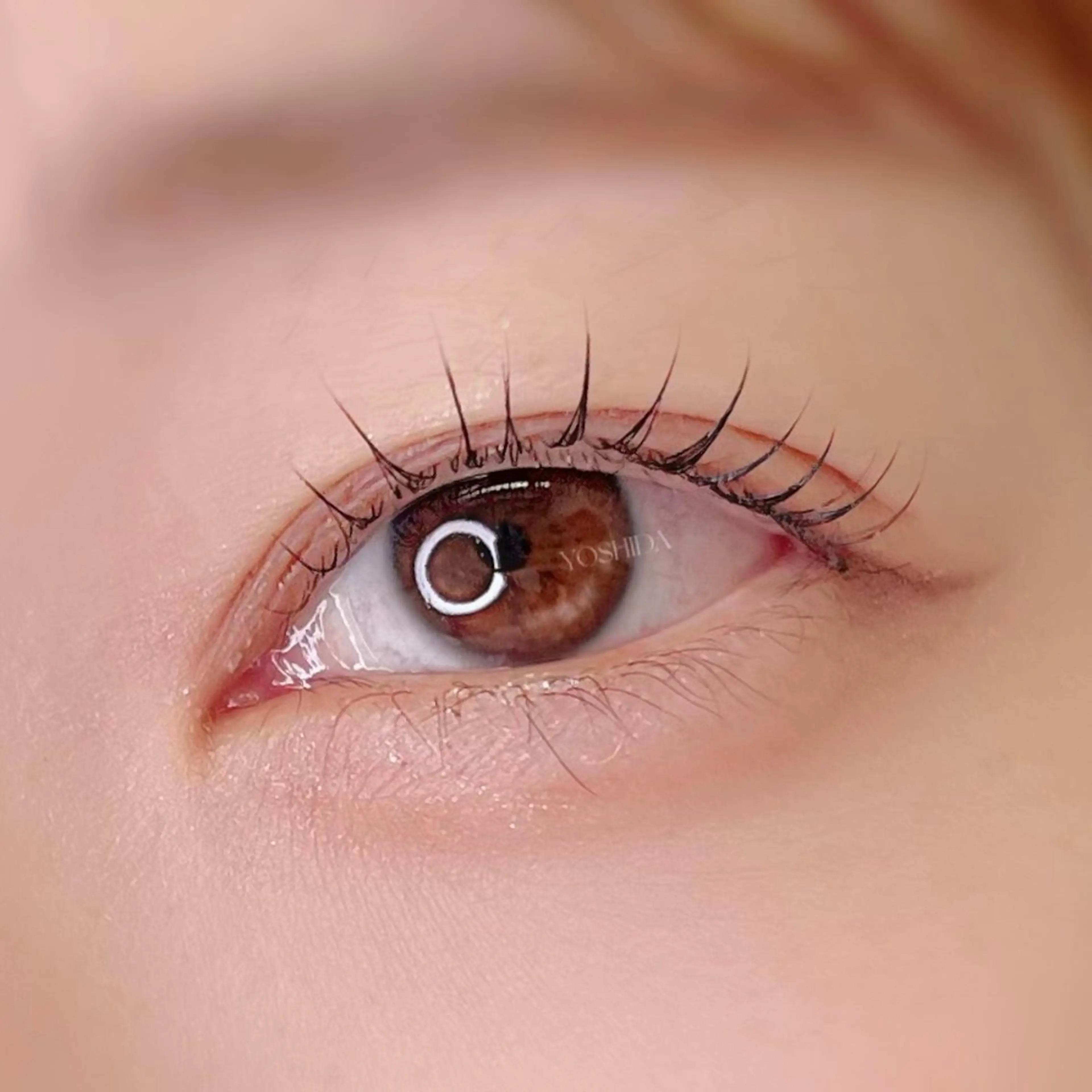 マツエク・マツパ 束感まつ毛 マツパ 【一重┊︎奥二重】 YOSHIDA🌙の眉毛・アイブロウイメージ