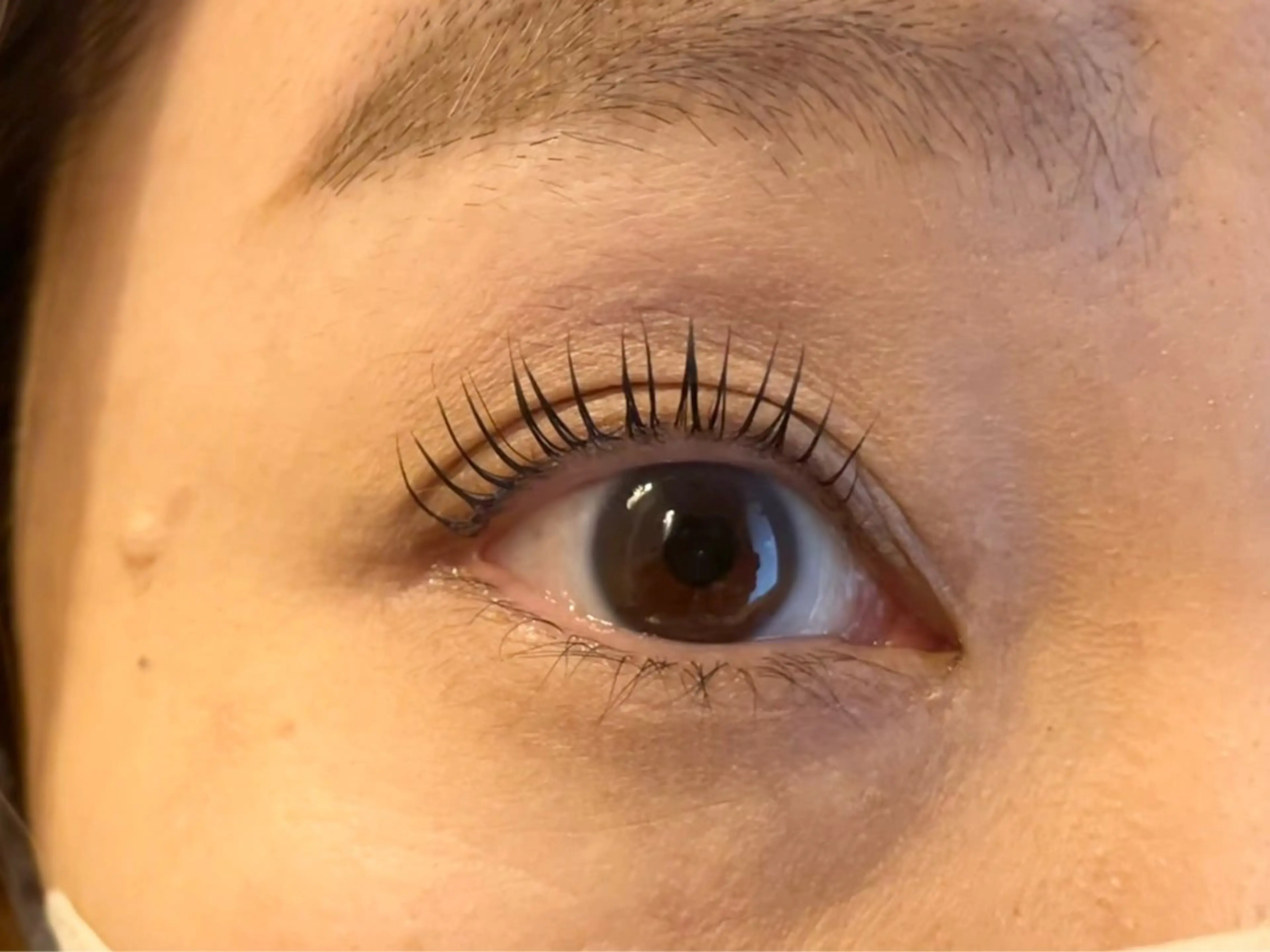 マツエク・マツパ nap eyelash福島駅前店所属・nap  福島駅前店 RANのマツエク・マツパデザイン