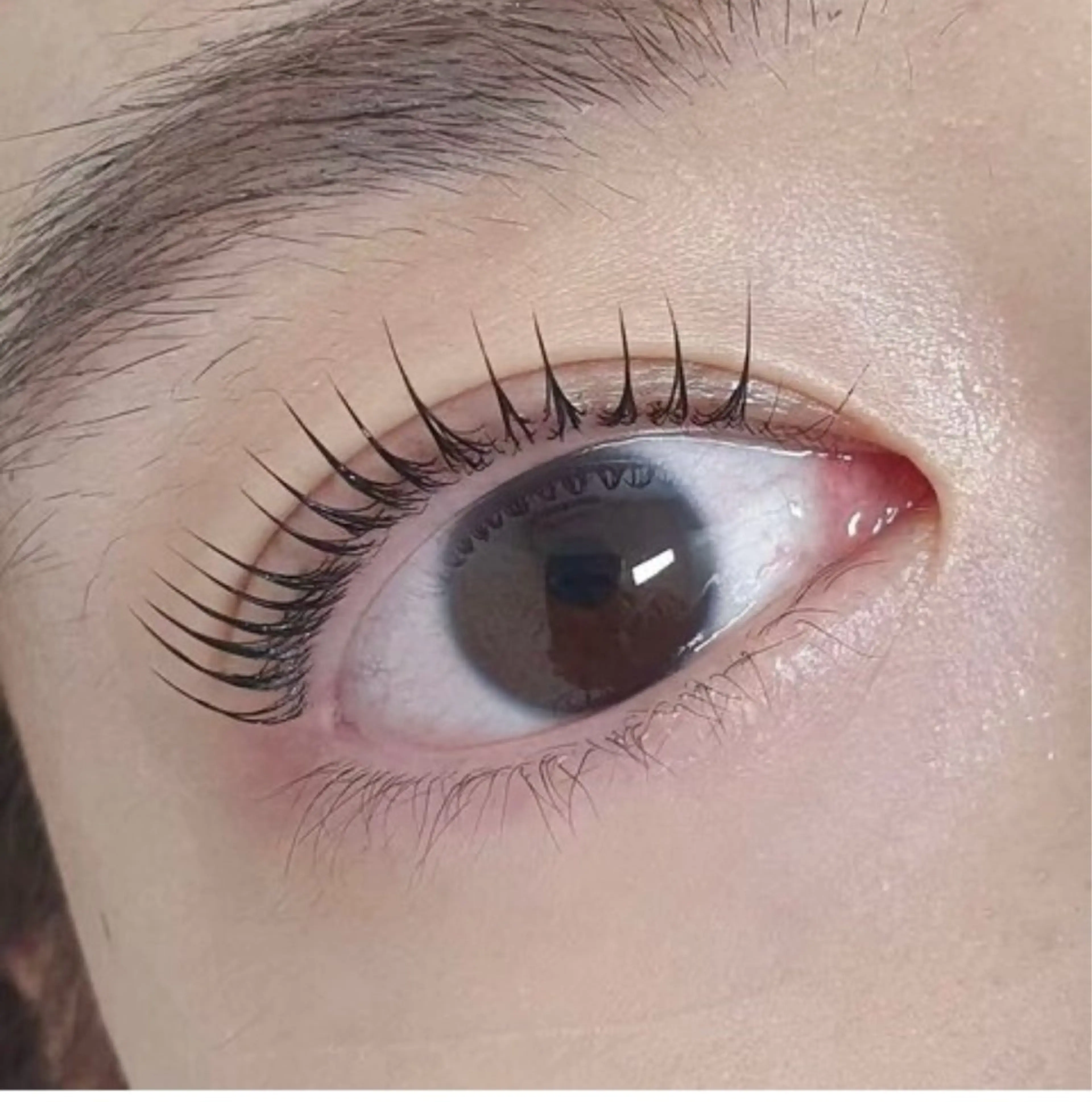 【オフ対応不可】　韓国風×束感のまつ毛パーマ上のみの写真